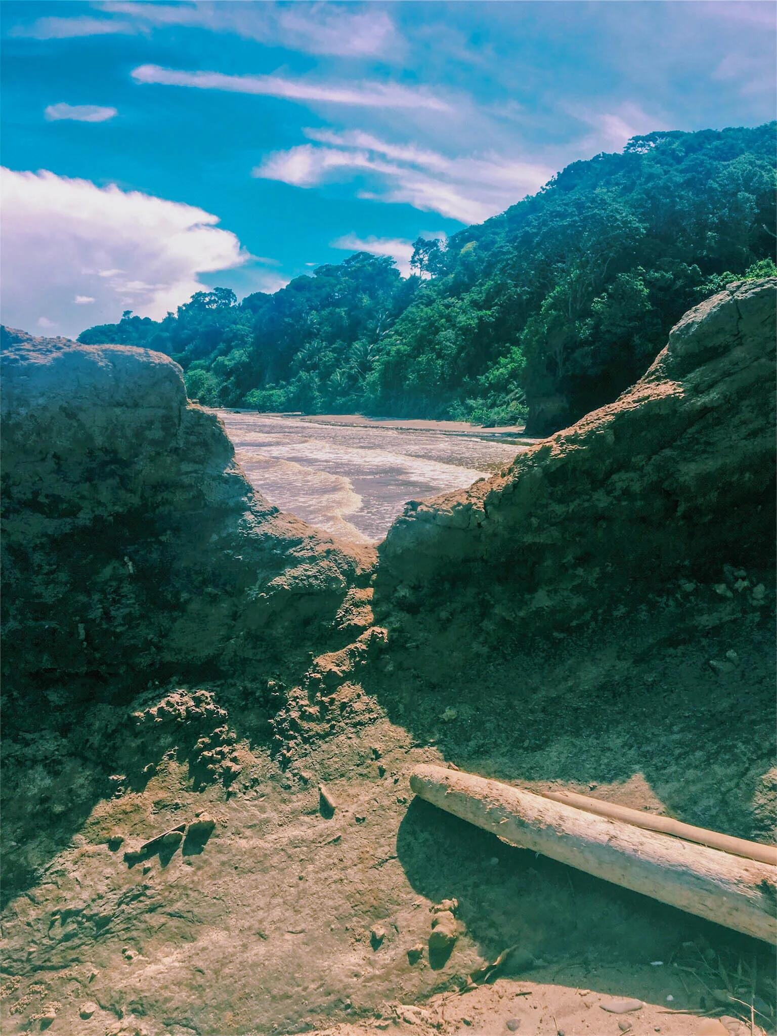 trini-24.jpg