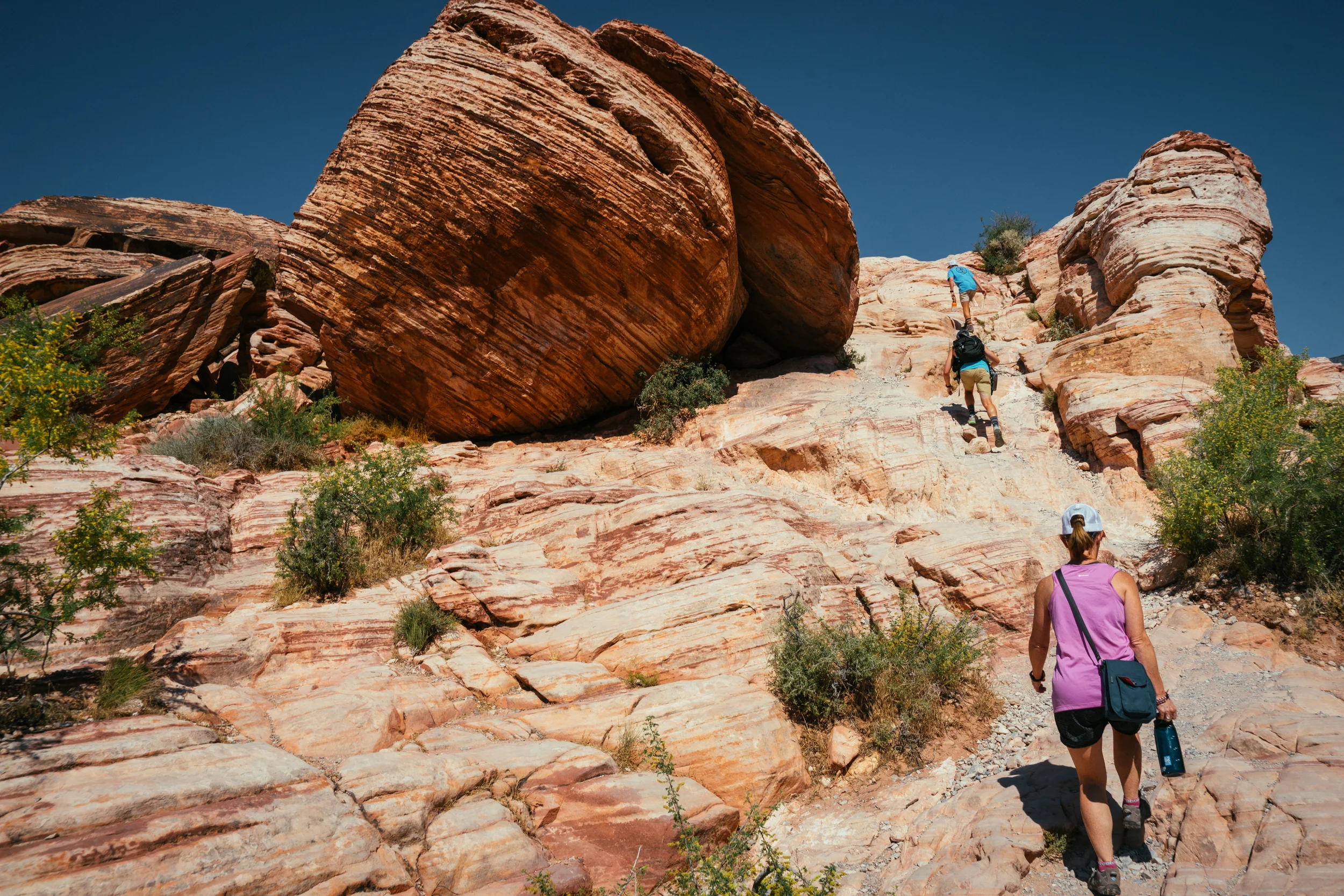 red rock-01005.jpg
