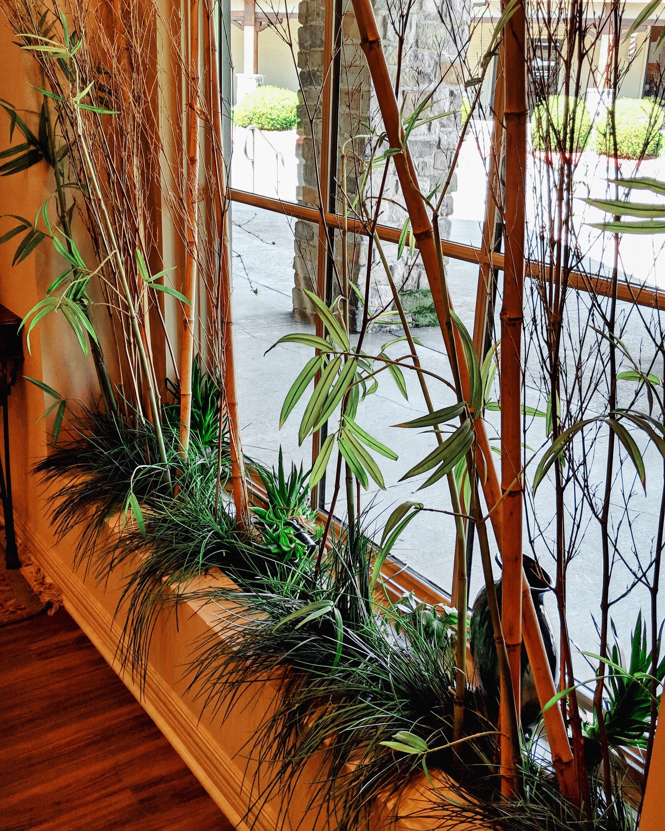 Window Sill with Plants.jpg