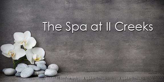 FINAL TSATC_BACKGROUND-with LOGO_1219-01-01.jpg