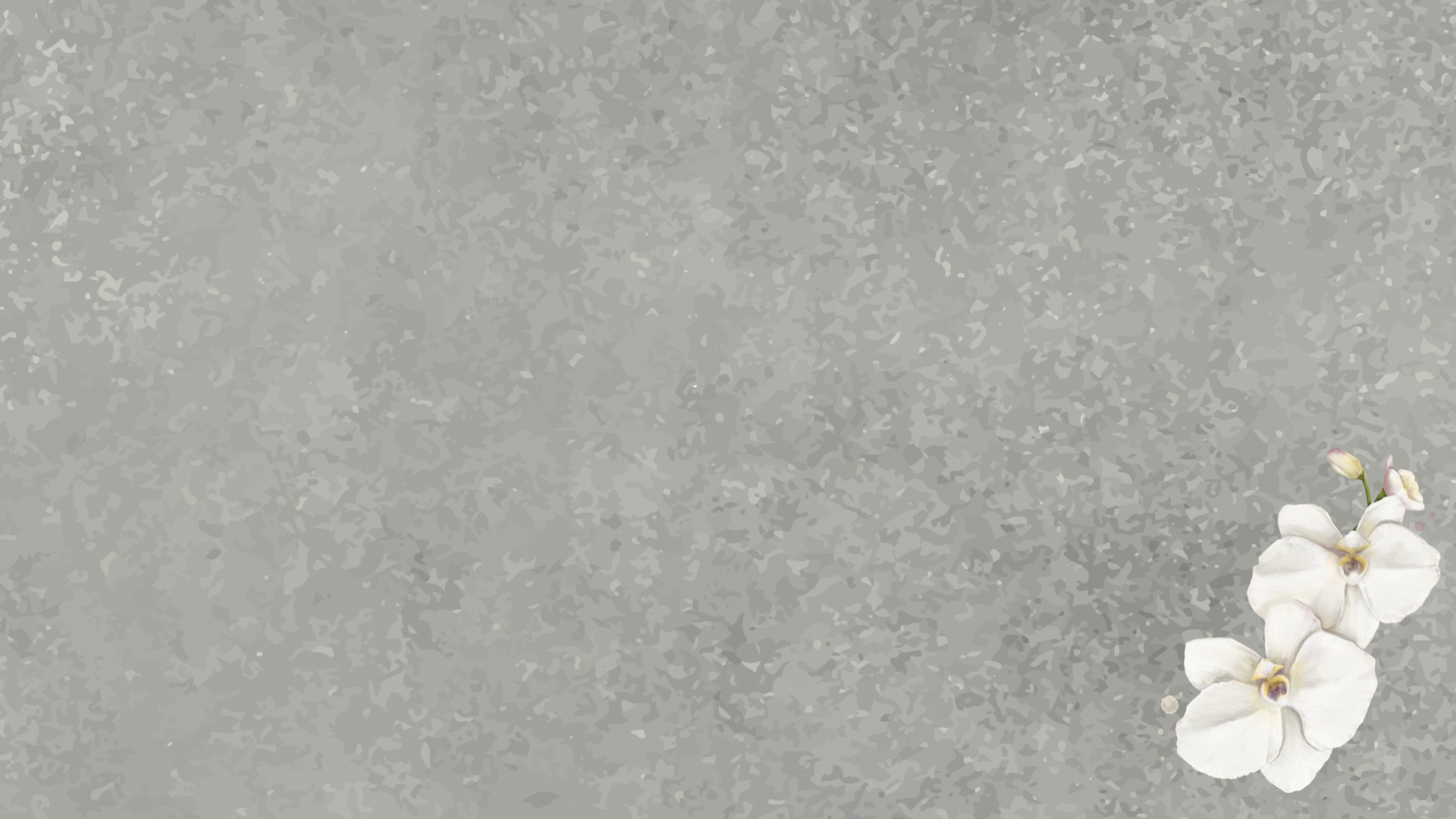 background 2.png