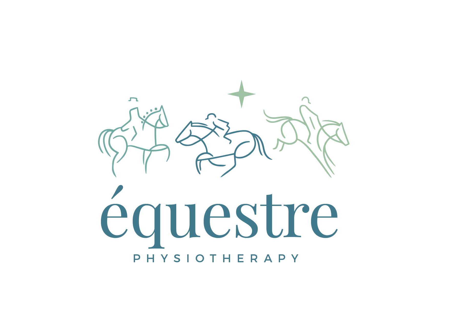 Equestre Physiotherapy