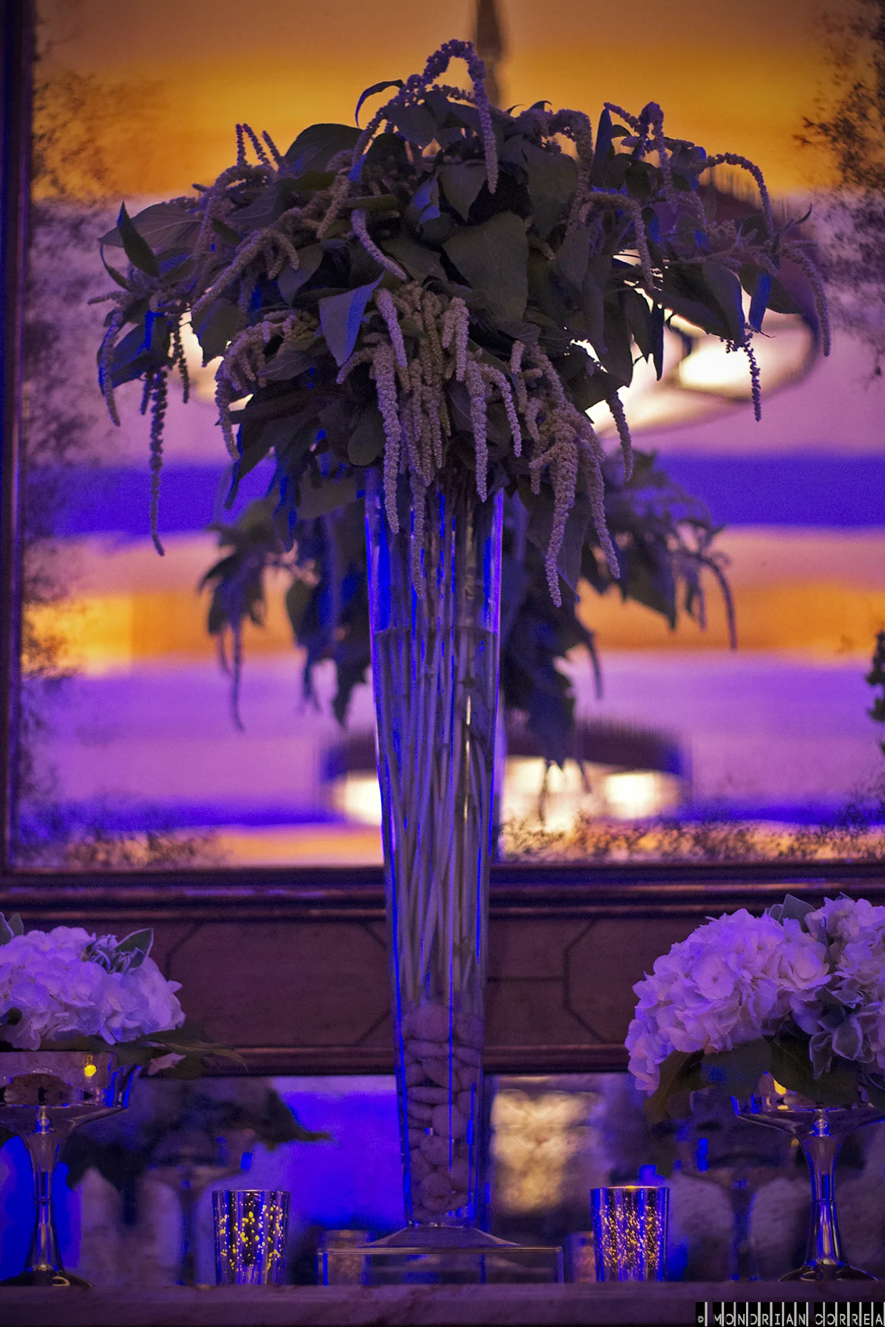 011015-HelpHaiti@Montage-022.jpg