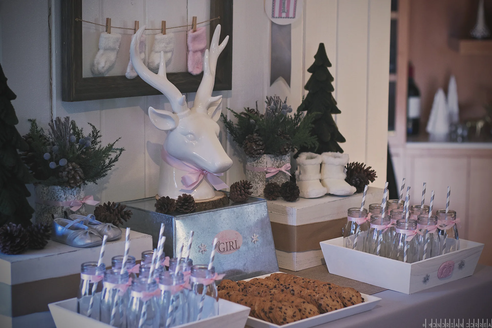 112215-Heather@BabyShower-029.jpg