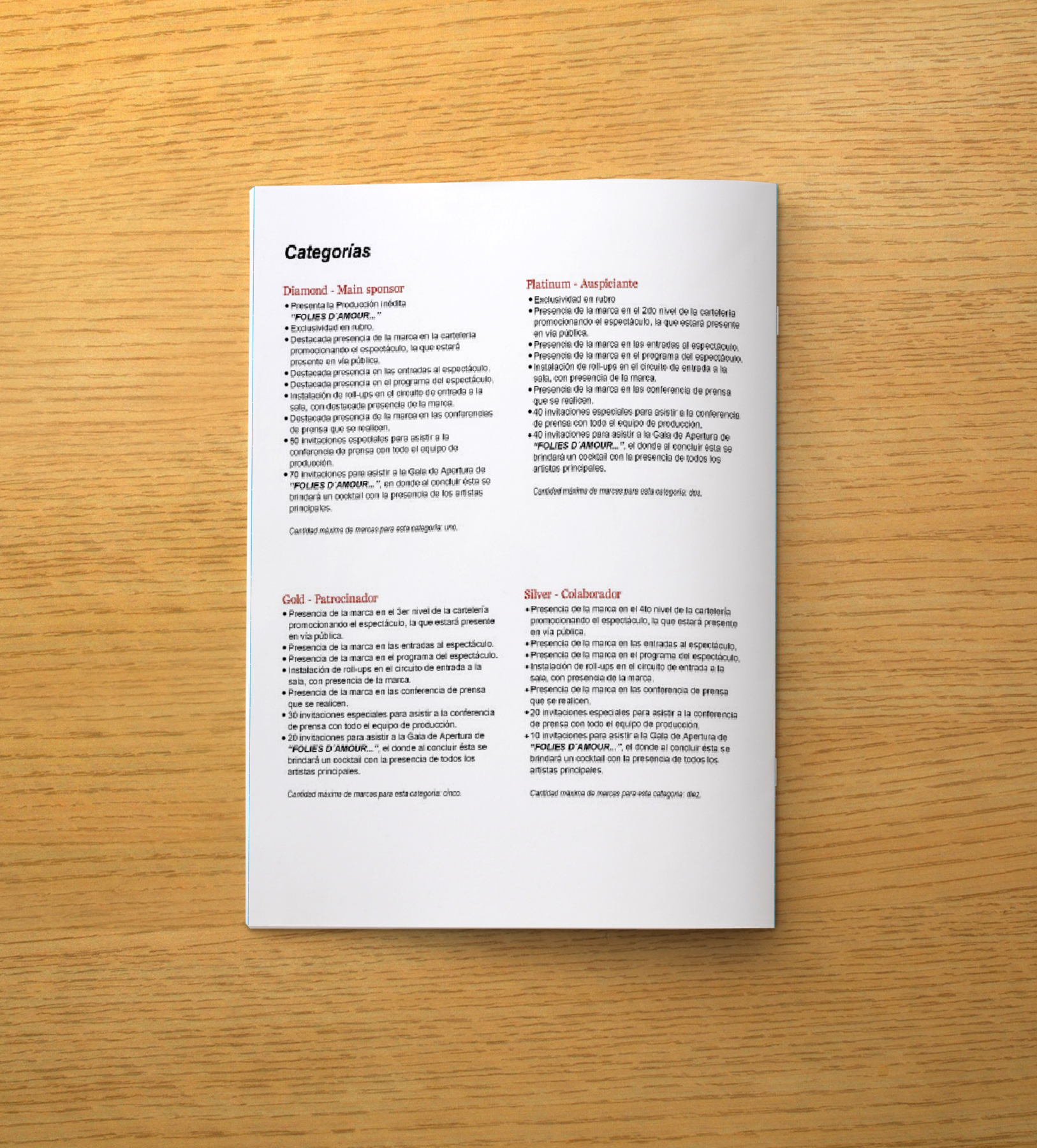 Brochure_mockup_A4_front2.jpg