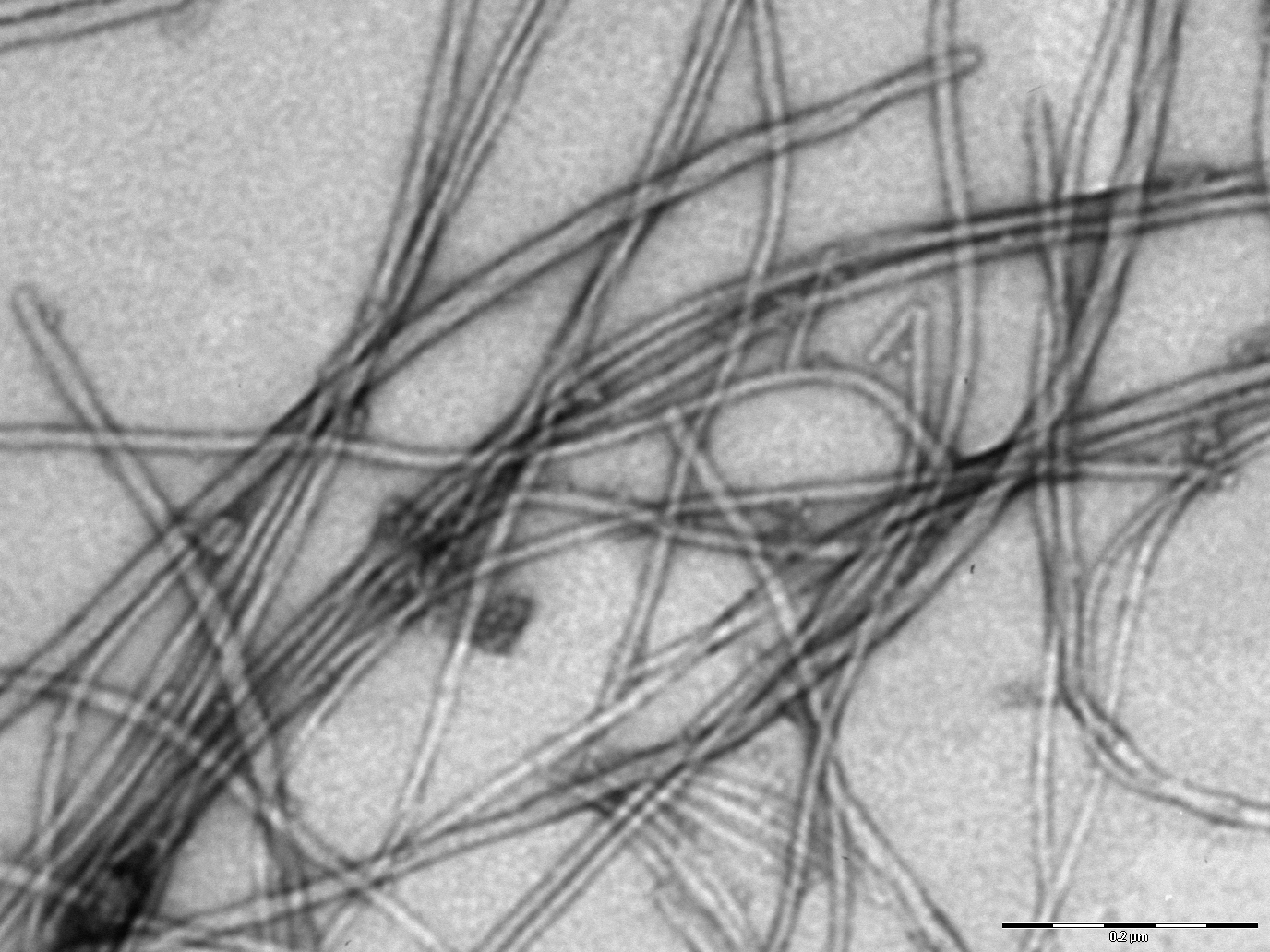 Control Temp stability CPNFs.jpg