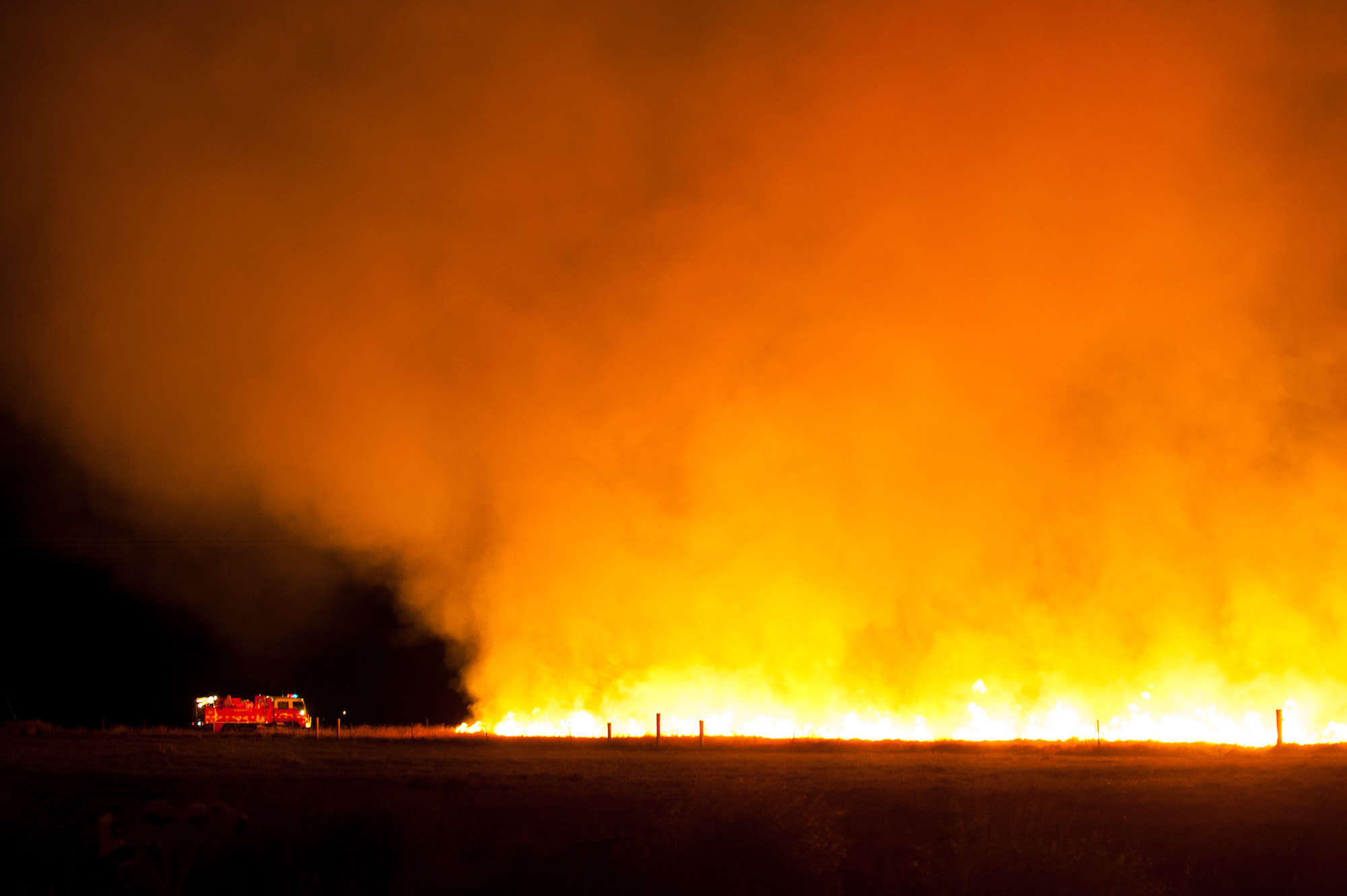 DSC_9842.jpg