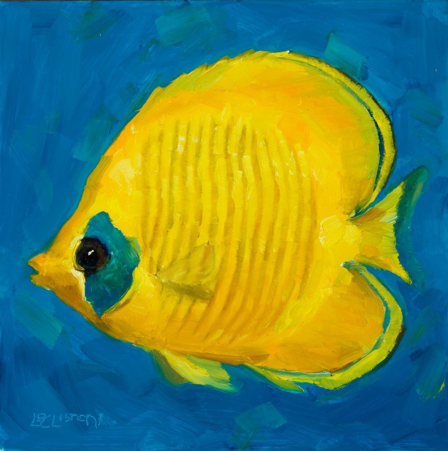 And now for something completely different. Butterfly fish 6&rdquo;x6&rdquo; oil on panel: Available, link in bio
Did this back in 2019 just to try something I&rsquo;d never painted before. #butterflyfish #supportlivingartists #buyartonline