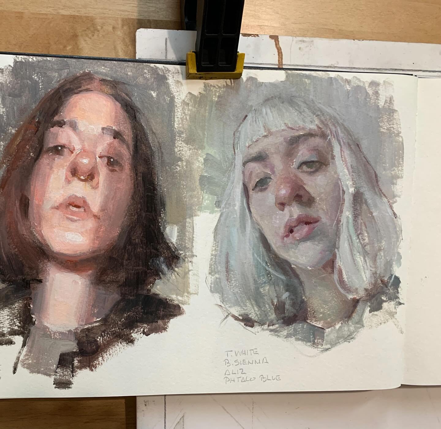 A couple sketchbook sketches using Goldens open acrylic.