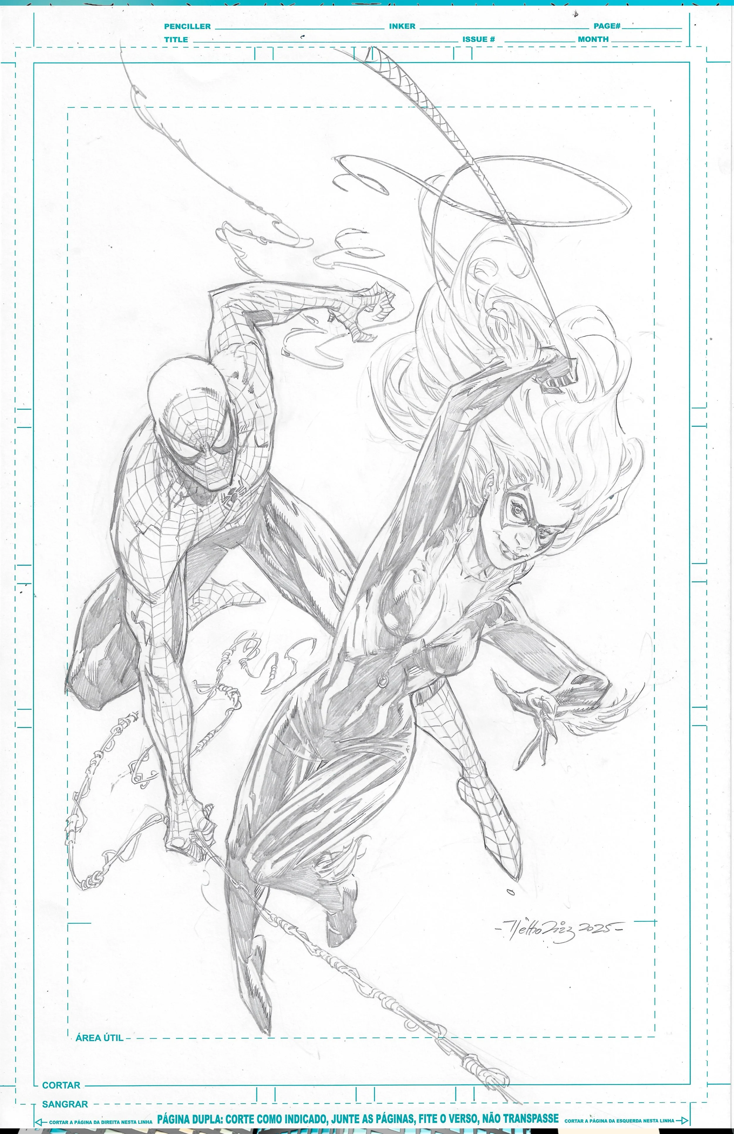 Black_Cat_SpiderB&W.jpg