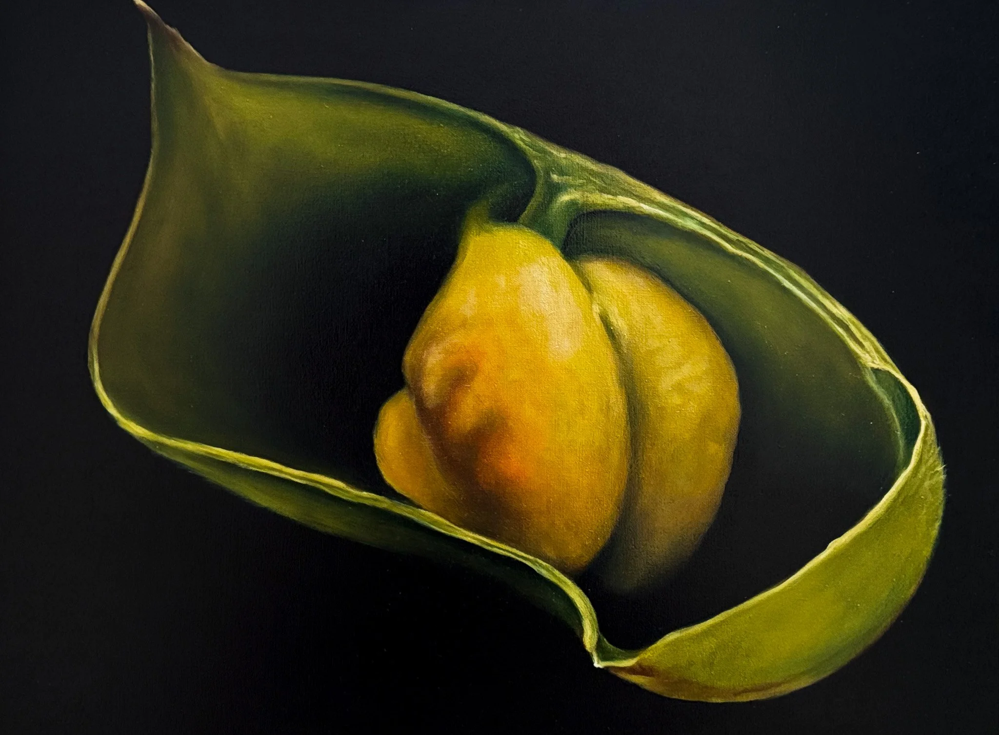 "Origin: Variation #2", Oil on Canvas, 22" X 24", 2024