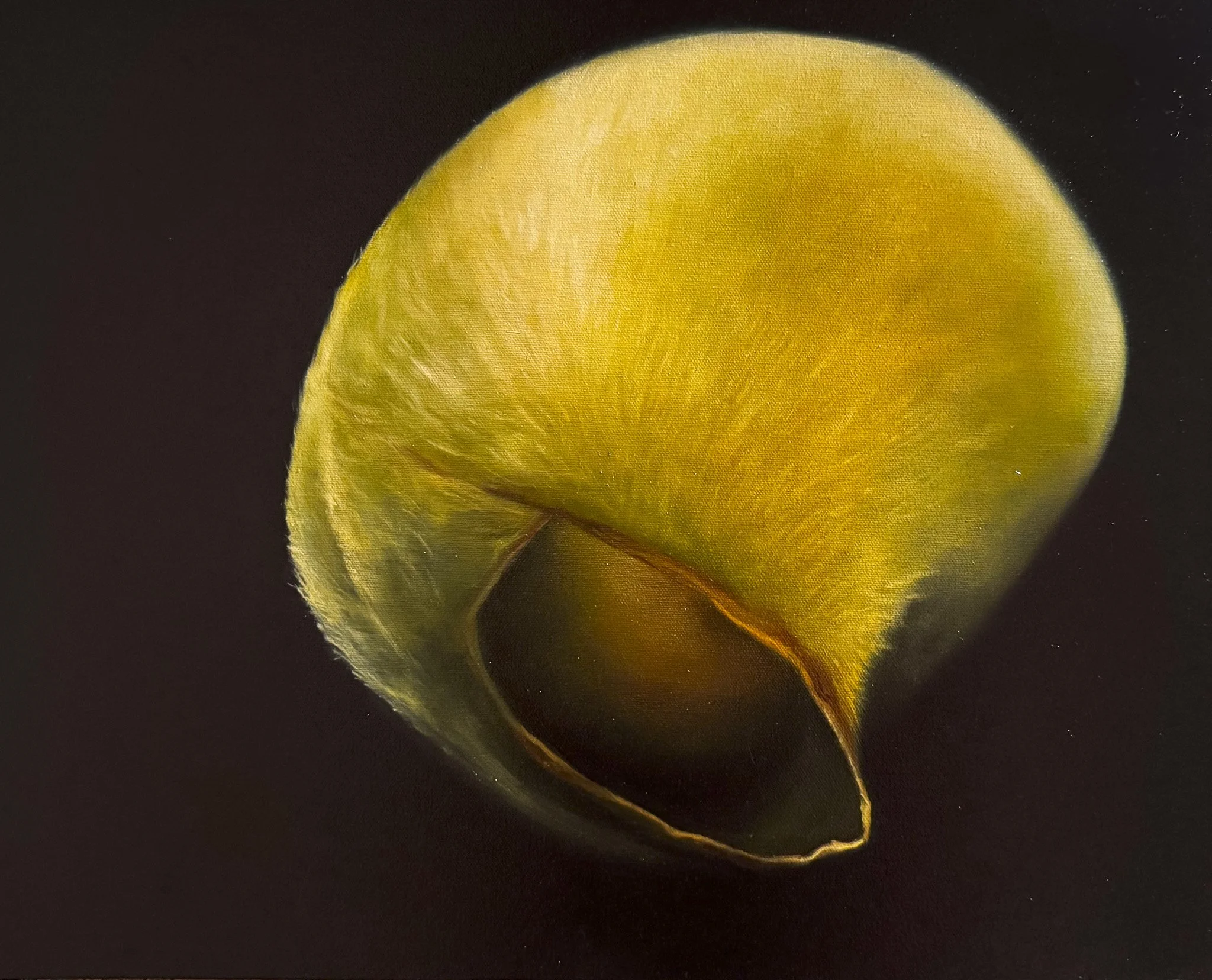 "Origin: Variation #1", Oil on Canvas, 20" x 22", 2024