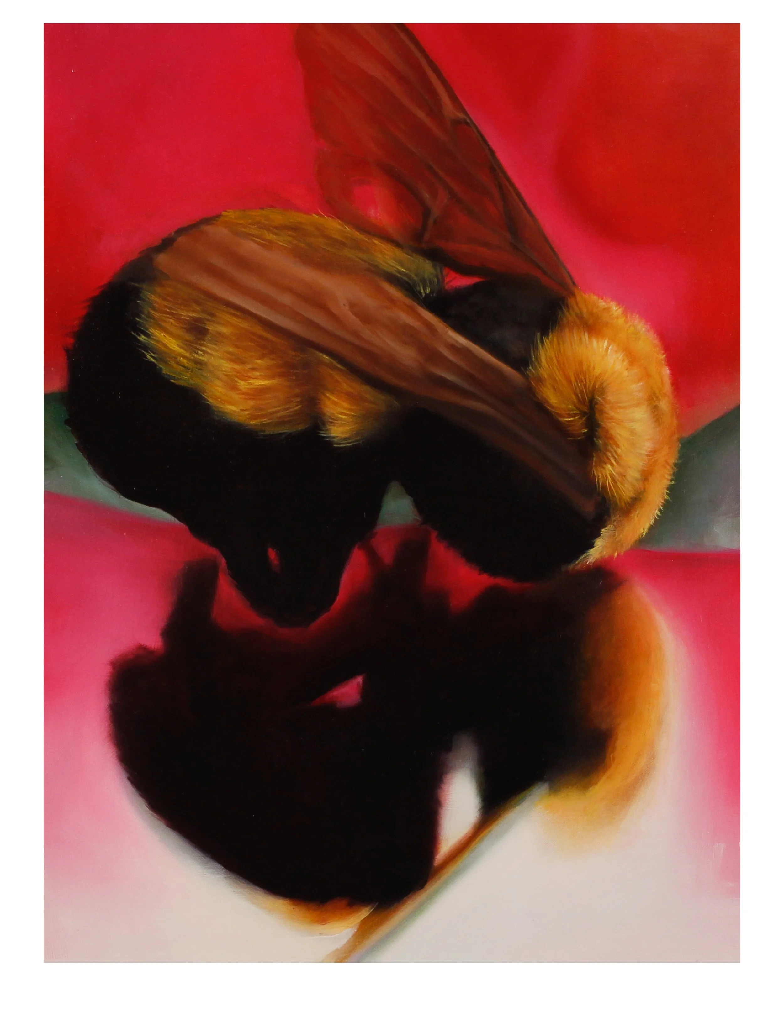 "Bee", Oil on Canvas, 15"x 20", 2020