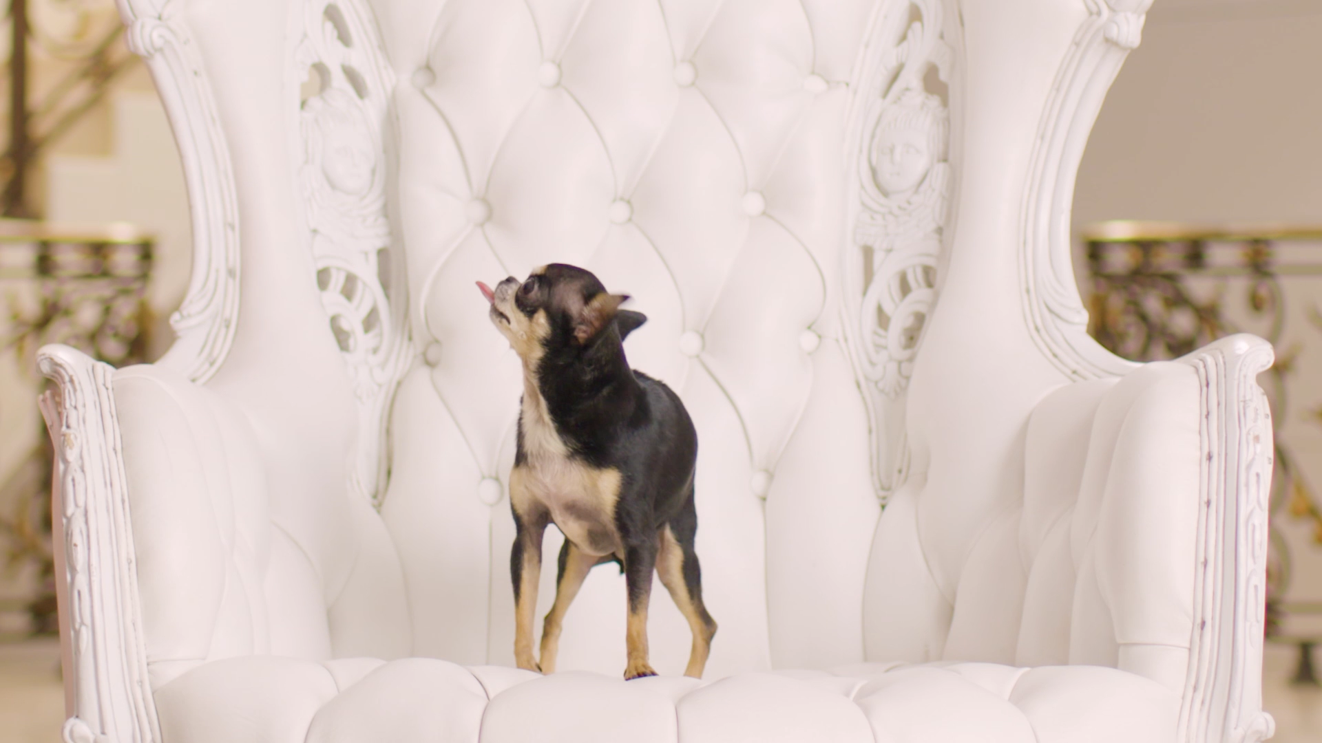 STACK_BehindTheMoment_2