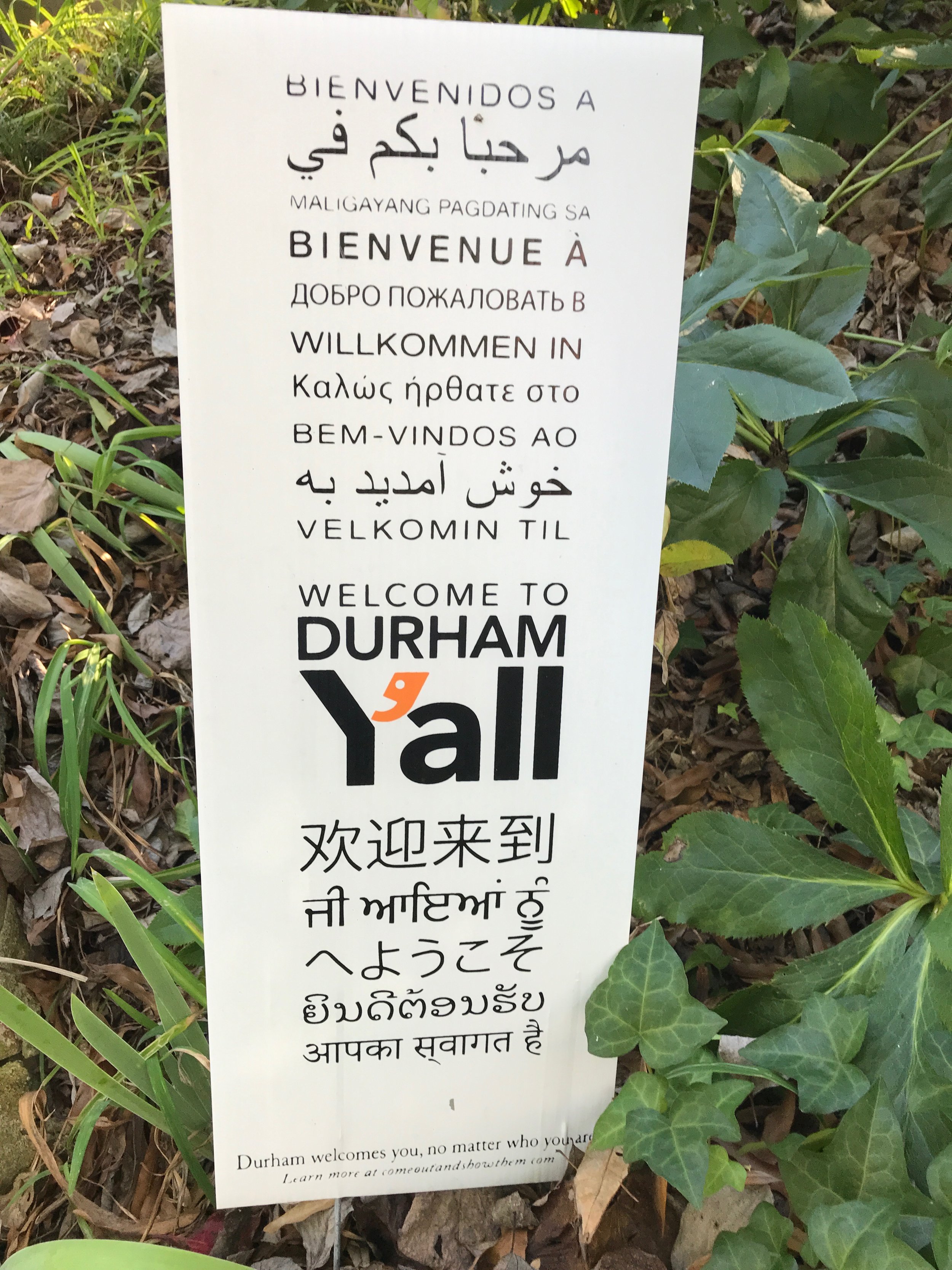 Image: Photo of banner that has text of greetings in many different languages