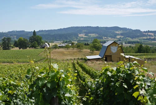 Bergström Wines