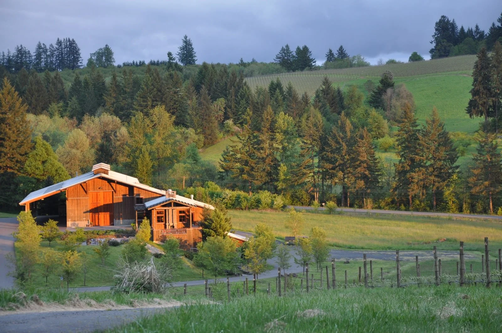 Lemelson Vineyards