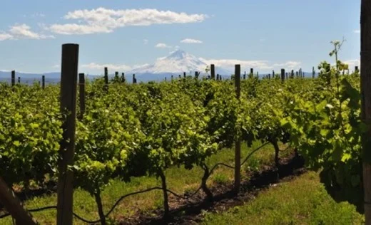 Wineries
