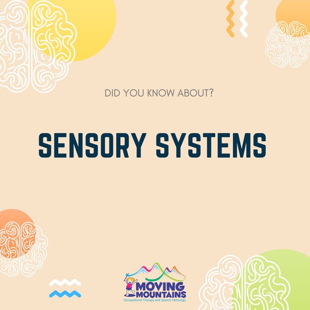 There are 8 sensory systems which include:⠀⠀⠀⠀⠀⠀⠀⠀⠀
1) Visual (vision)⠀⠀⠀⠀⠀⠀⠀⠀⠀
2) Tactile (touch)⠀⠀⠀⠀⠀⠀⠀⠀⠀
3) Auditory (hearing)⠀⠀⠀⠀⠀⠀⠀⠀⠀
4) Olfactory (smell)⠀⠀⠀⠀⠀⠀⠀⠀⠀
5) Gustatory (taste)⠀⠀⠀⠀⠀⠀⠀⠀⠀
6) Proprioception (position, location, orientation 
