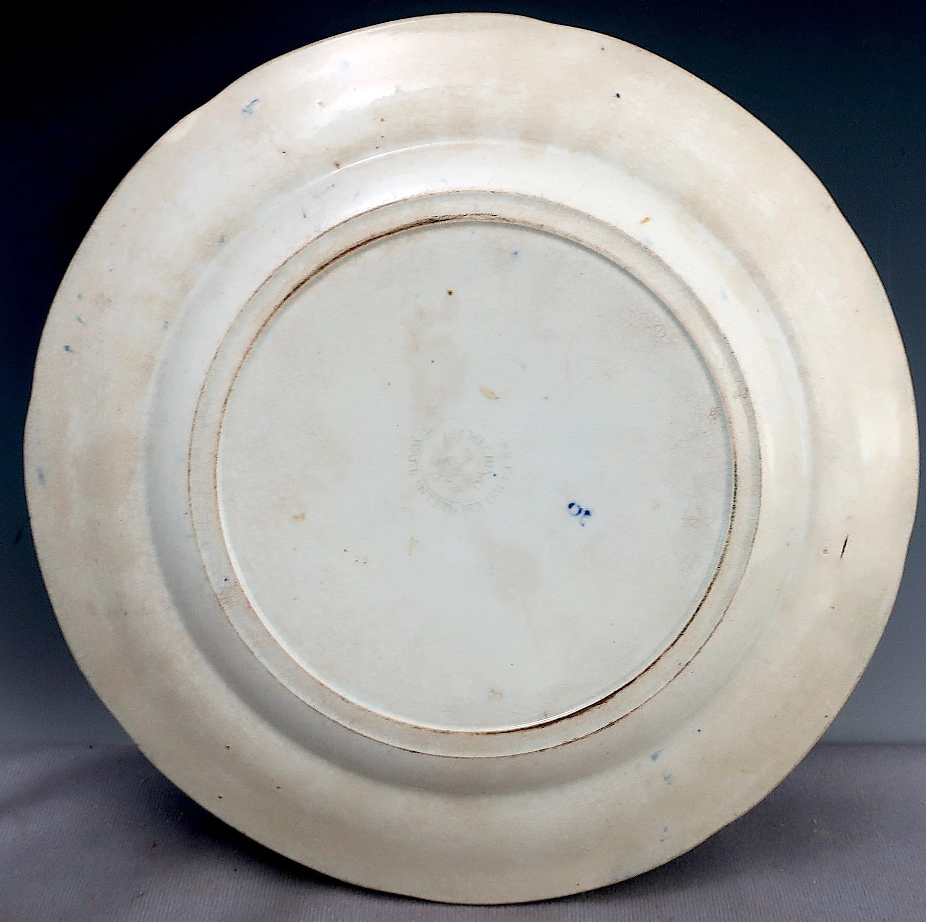 dartmouthplate1.jpeg