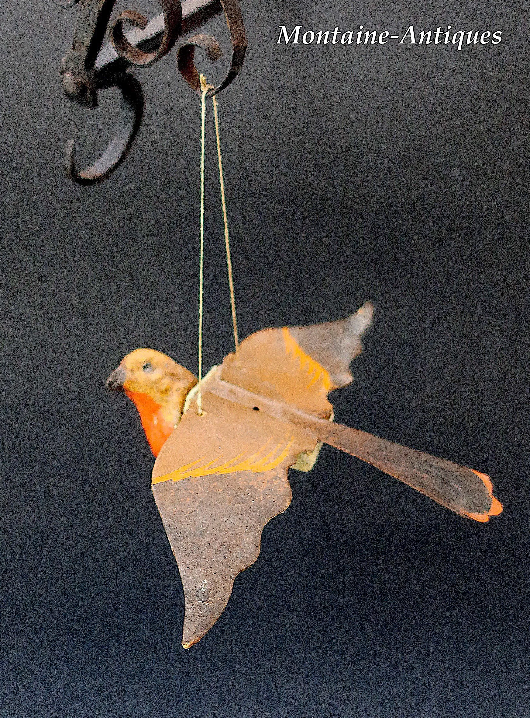 bird.jpeg