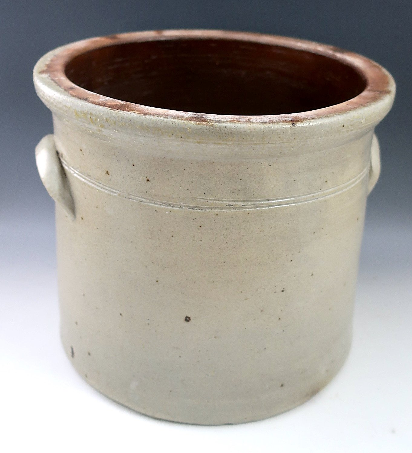 bbird1.1.jpeg
