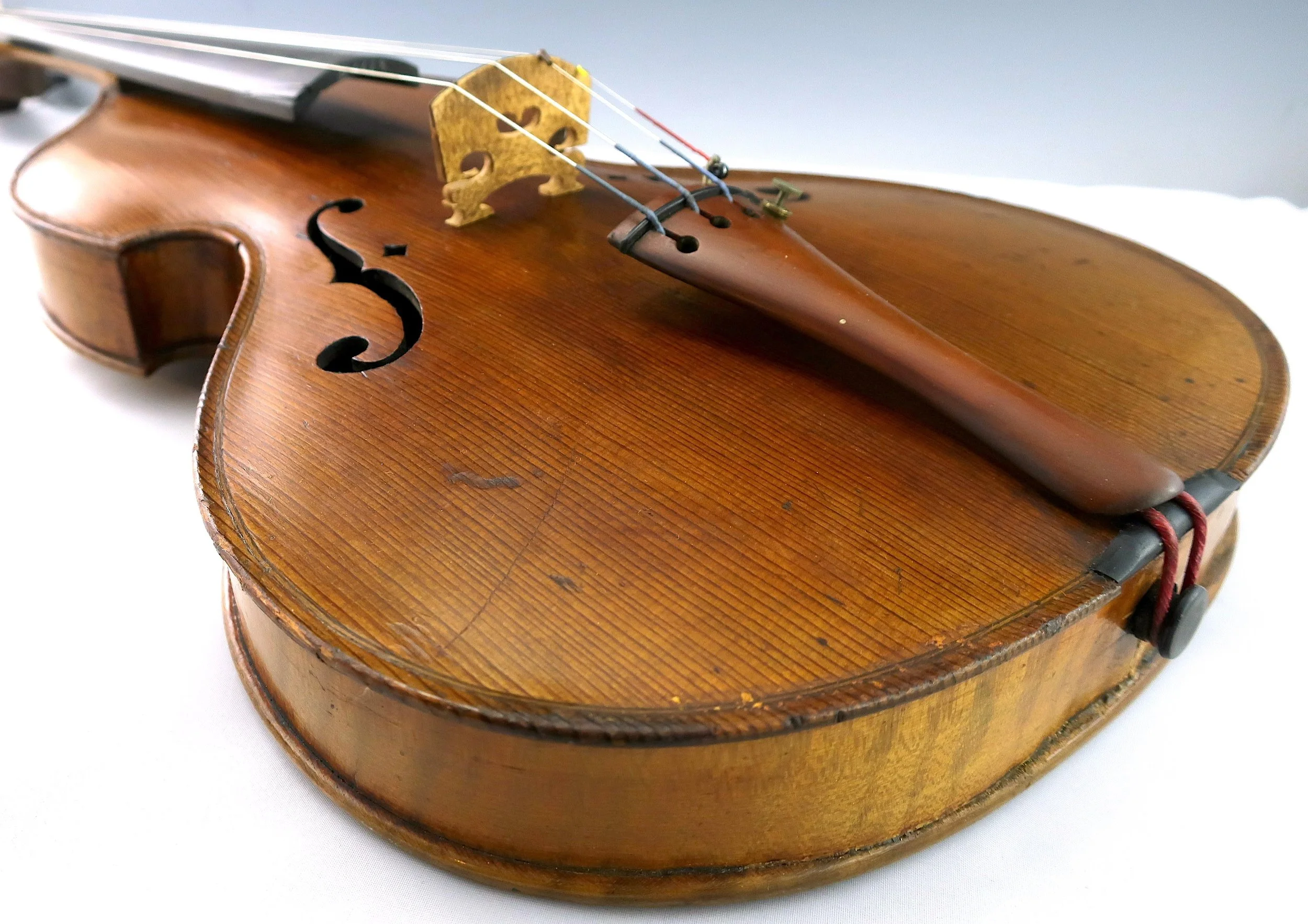 fiddle4.jpg