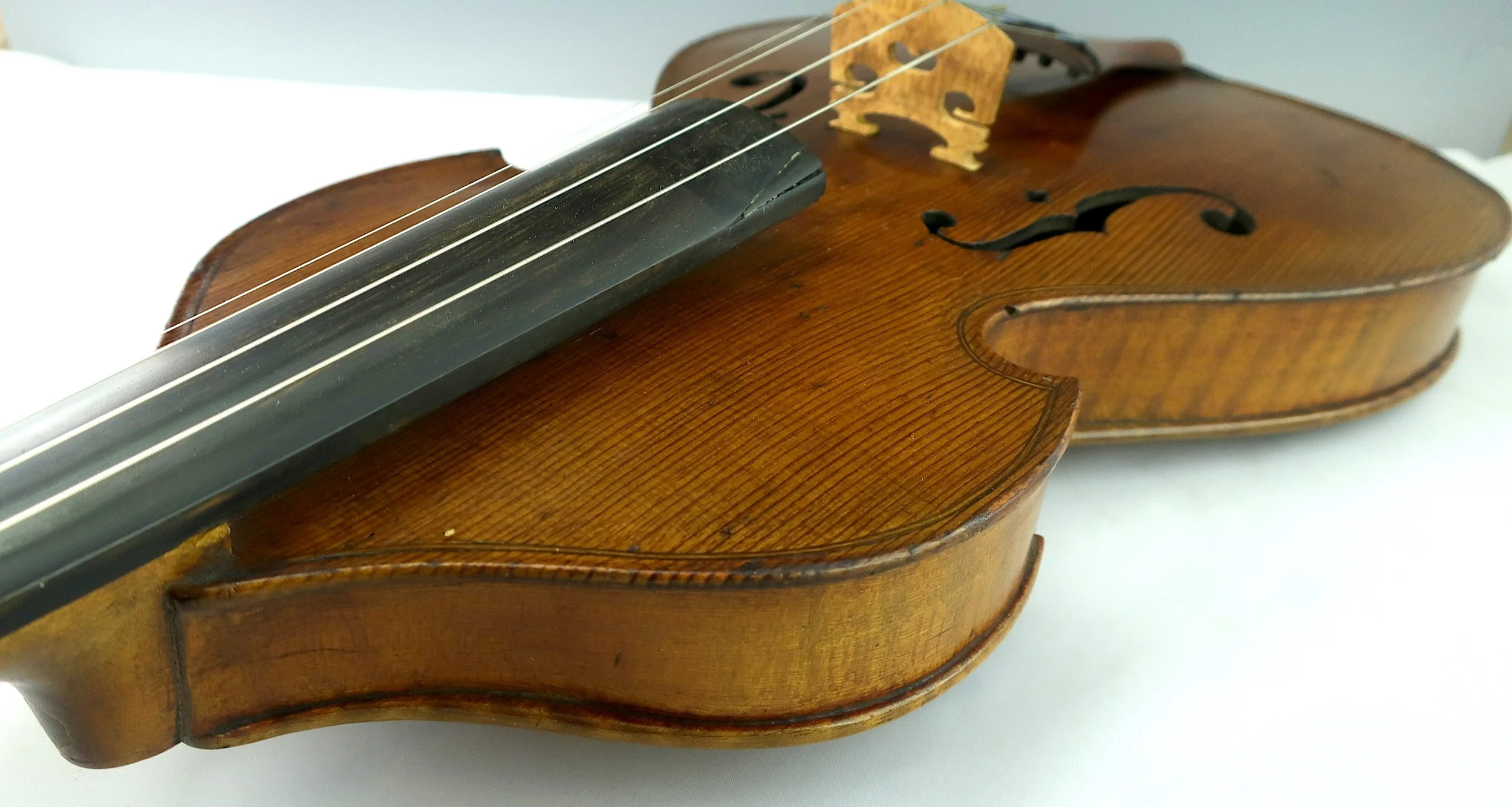 fiddle8.jpg