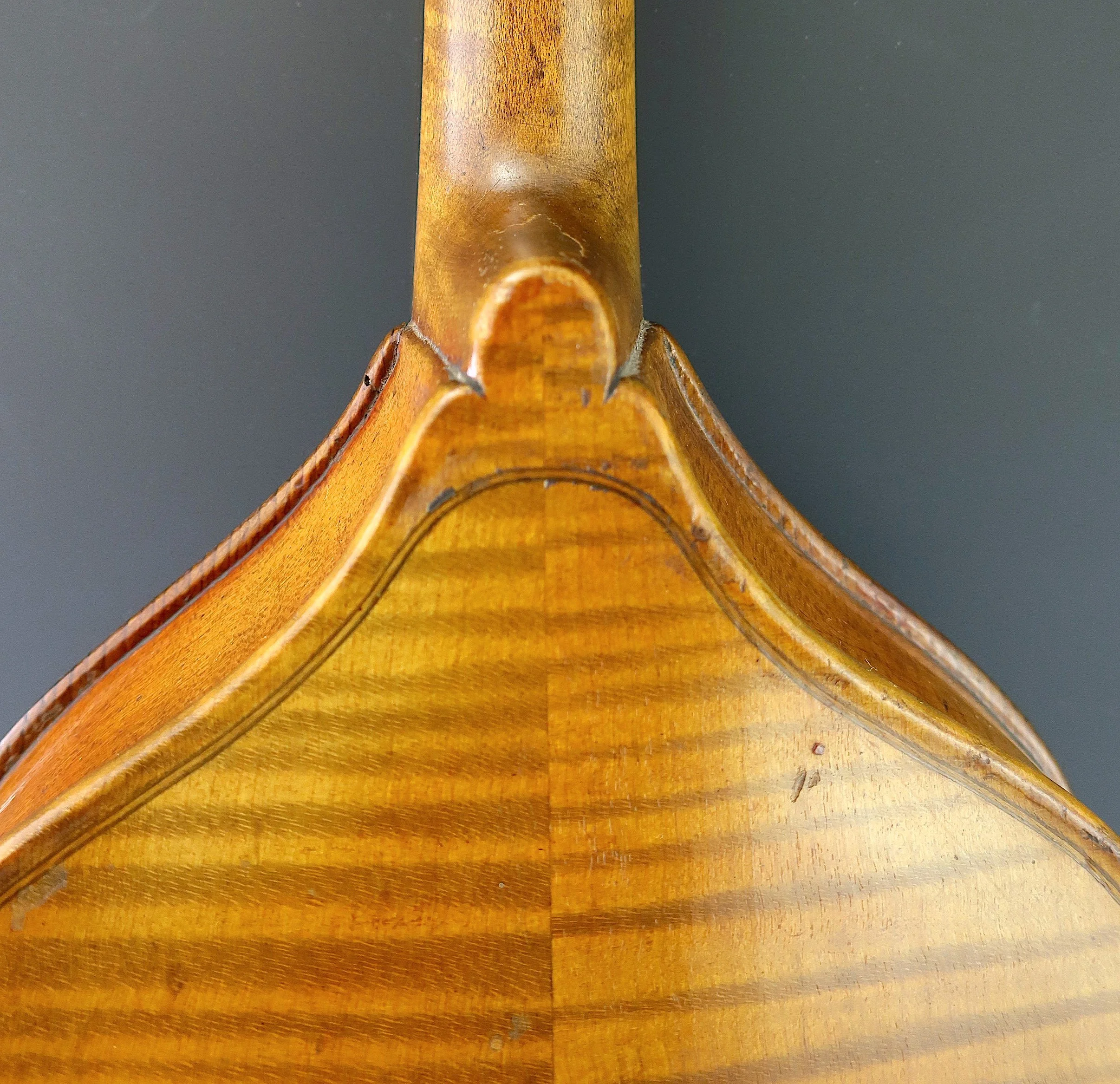 fiddle6.jpg
