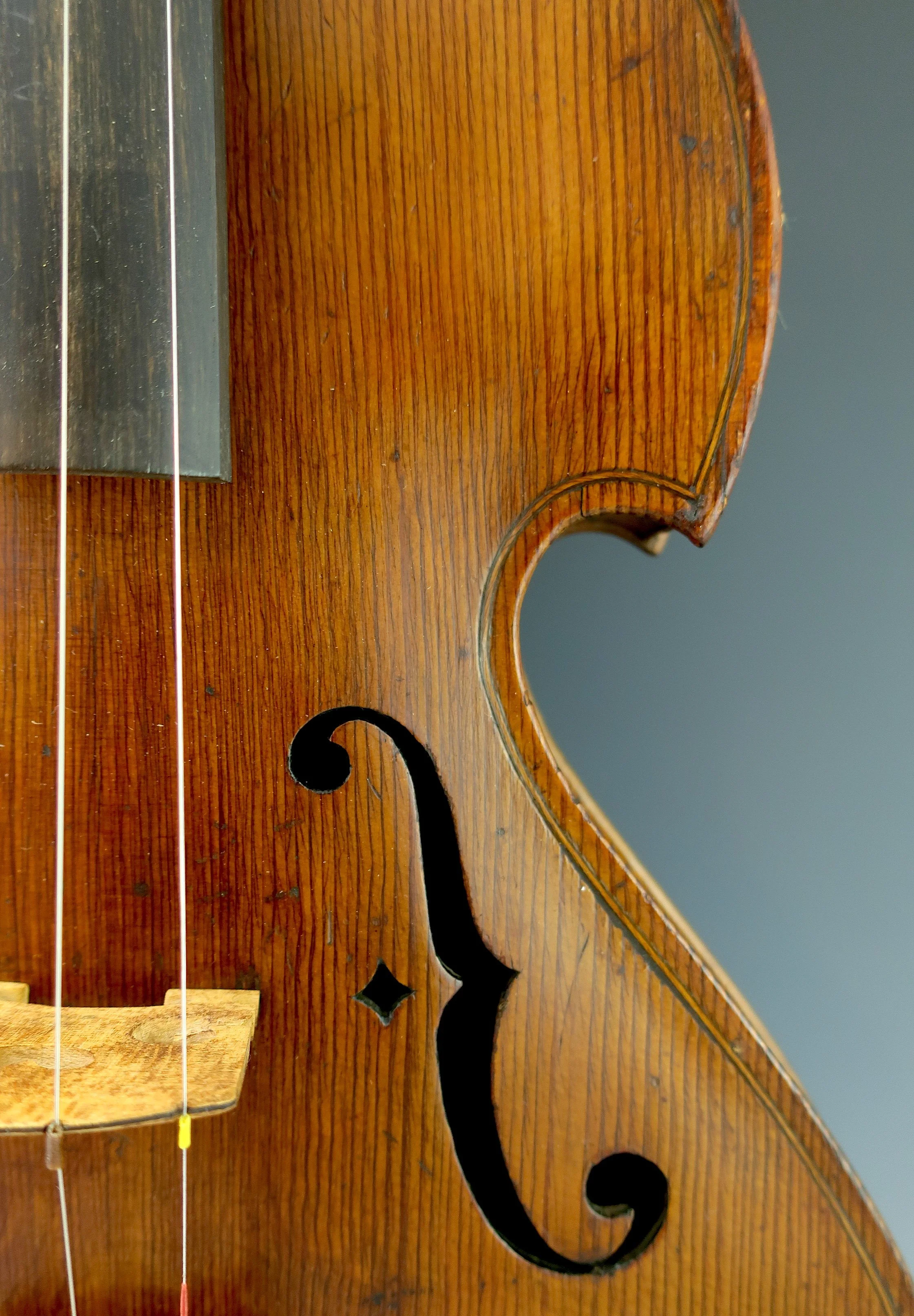 fiddle7.jpg