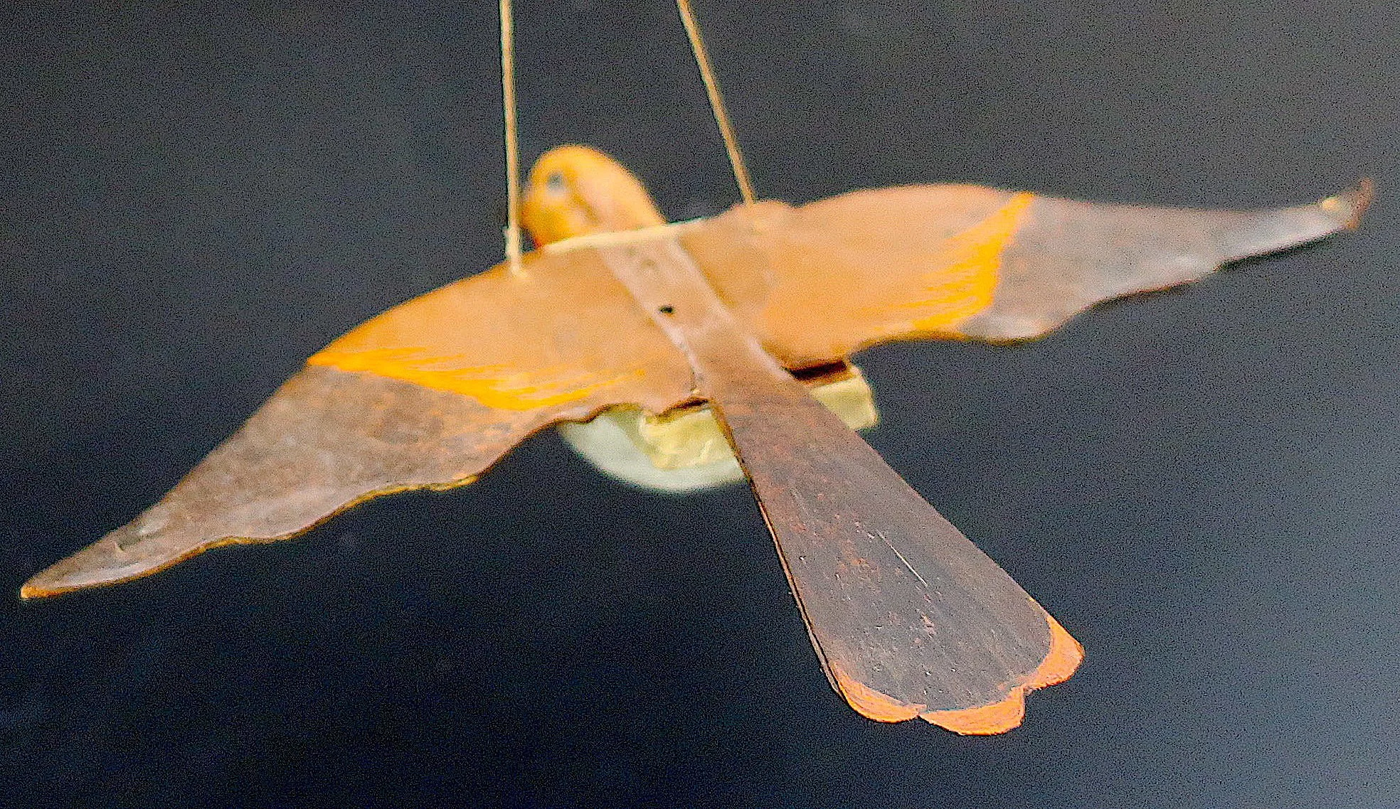bird2.jpeg