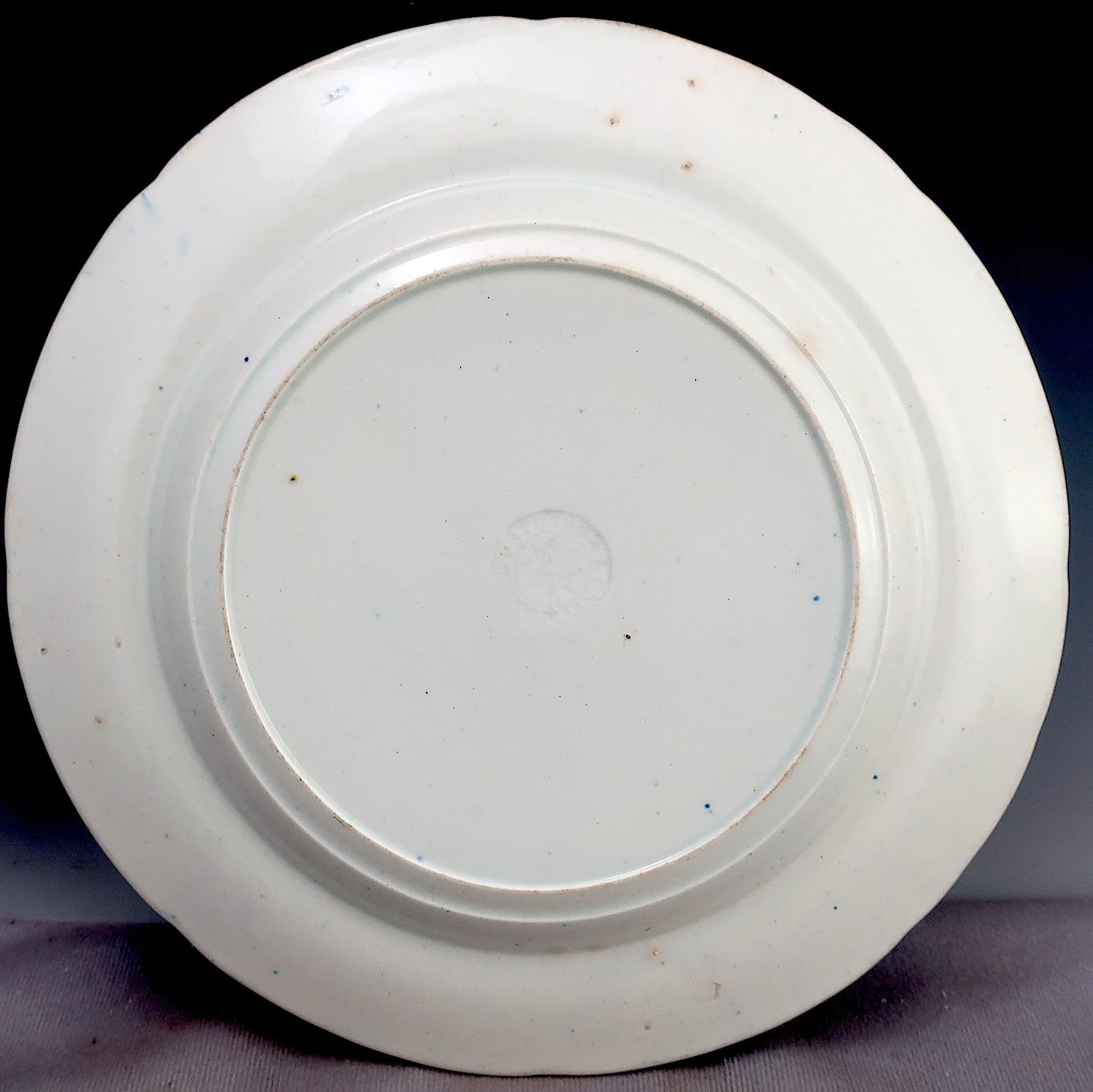 shellplate1.jpeg