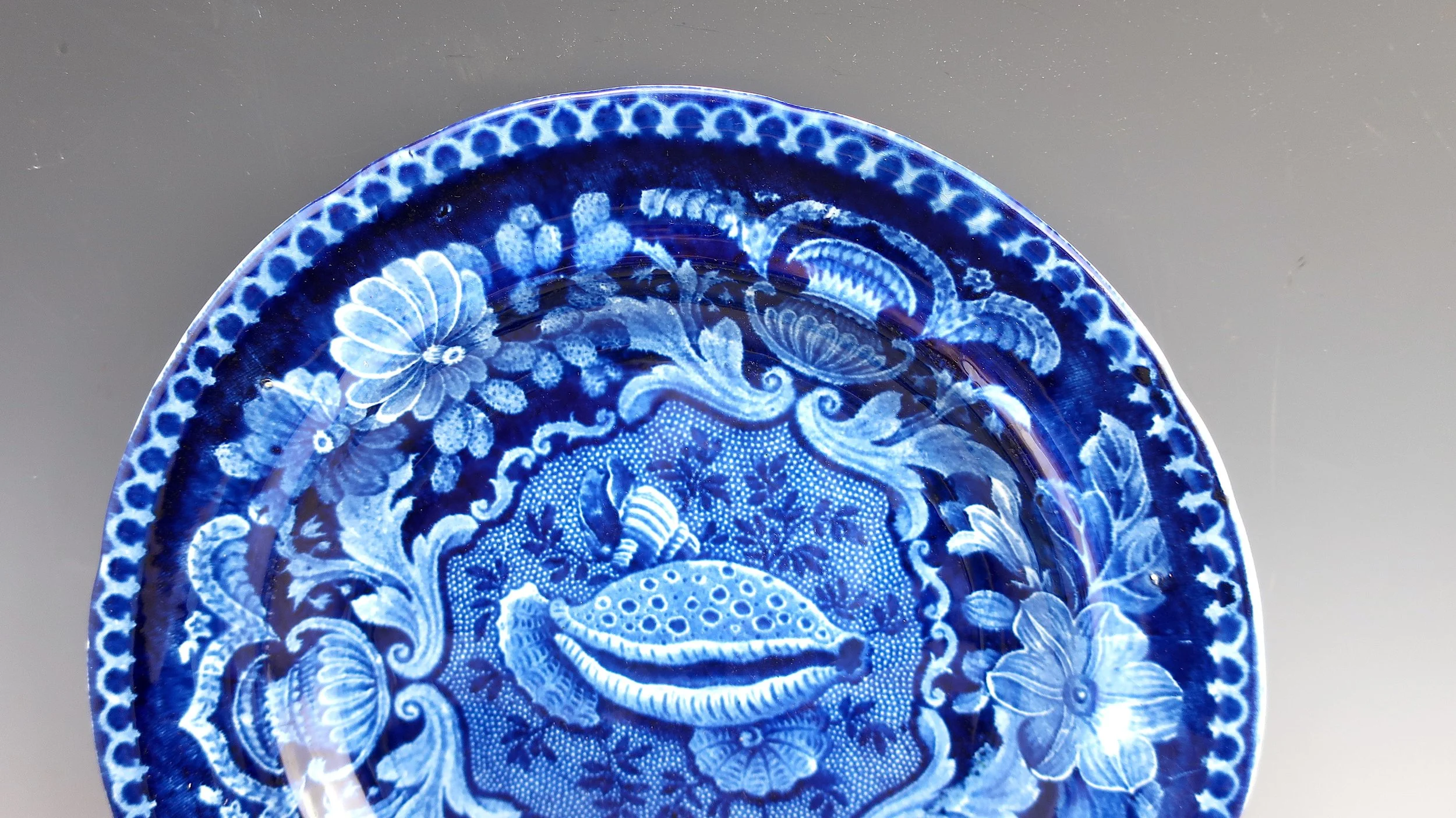 shellplate2.jpeg