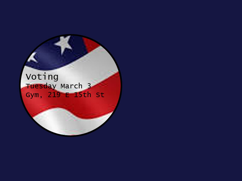 06-voting.jpg