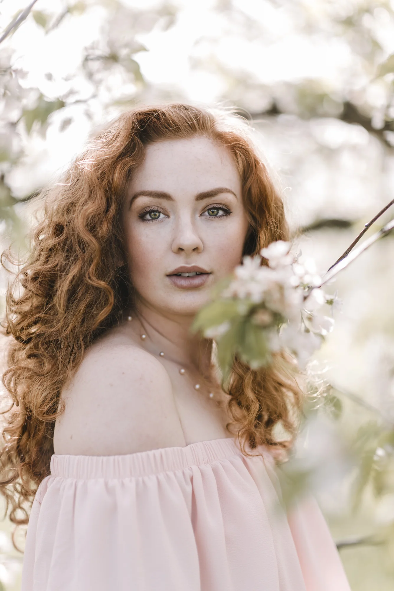 Cherry-1.jpg