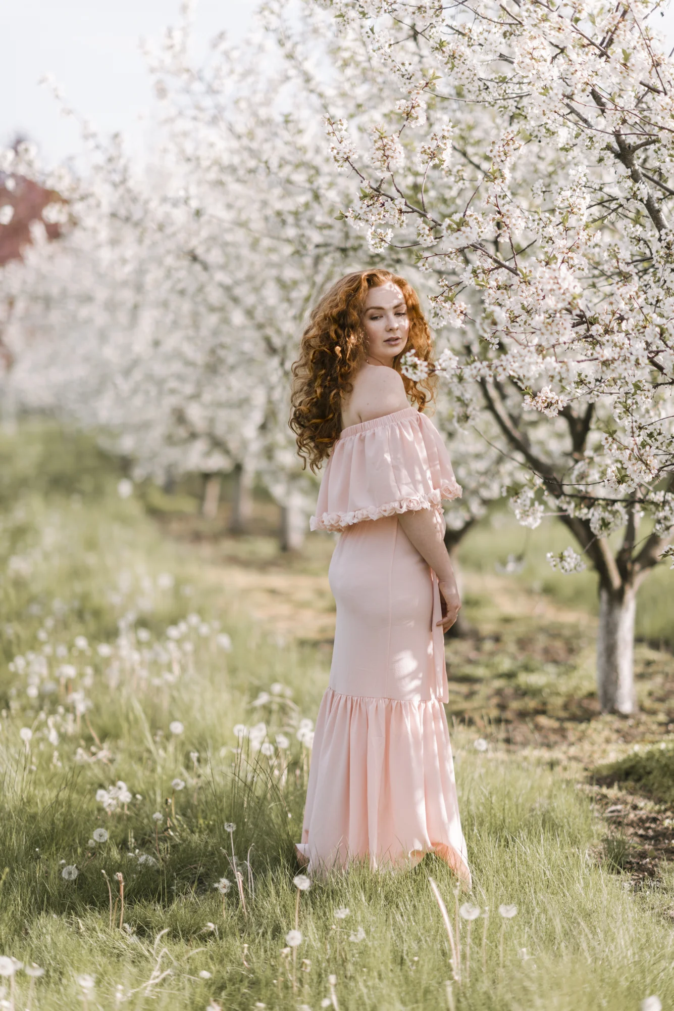 Cherry-20.jpg