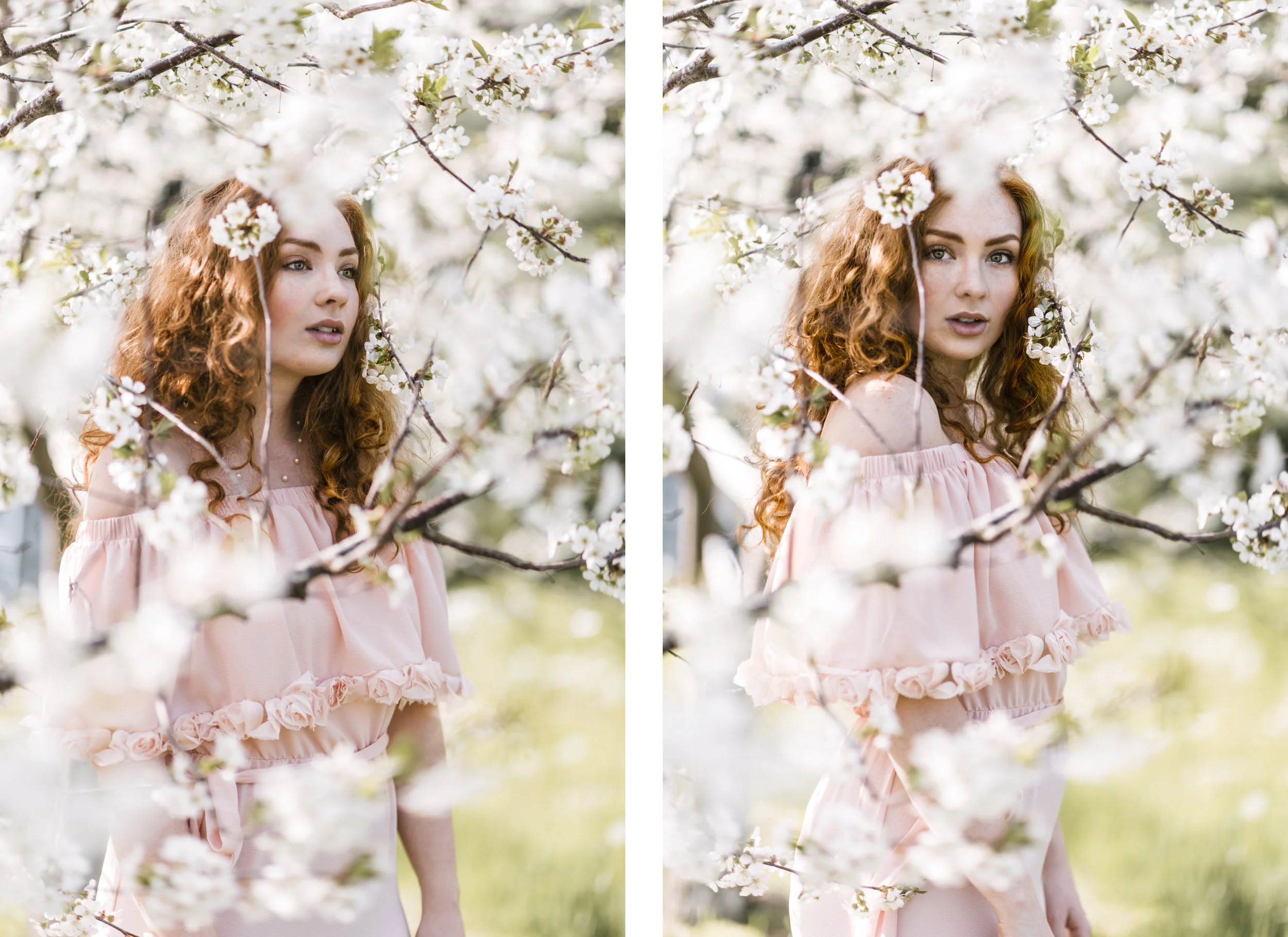 Cherry-2.1.jpg