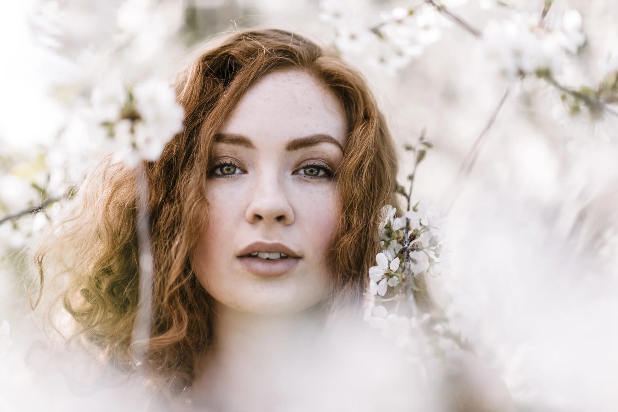 Cherry-4.jpg