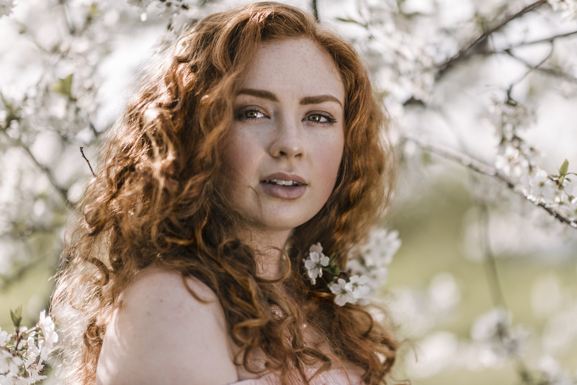 Cherry-10.jpg