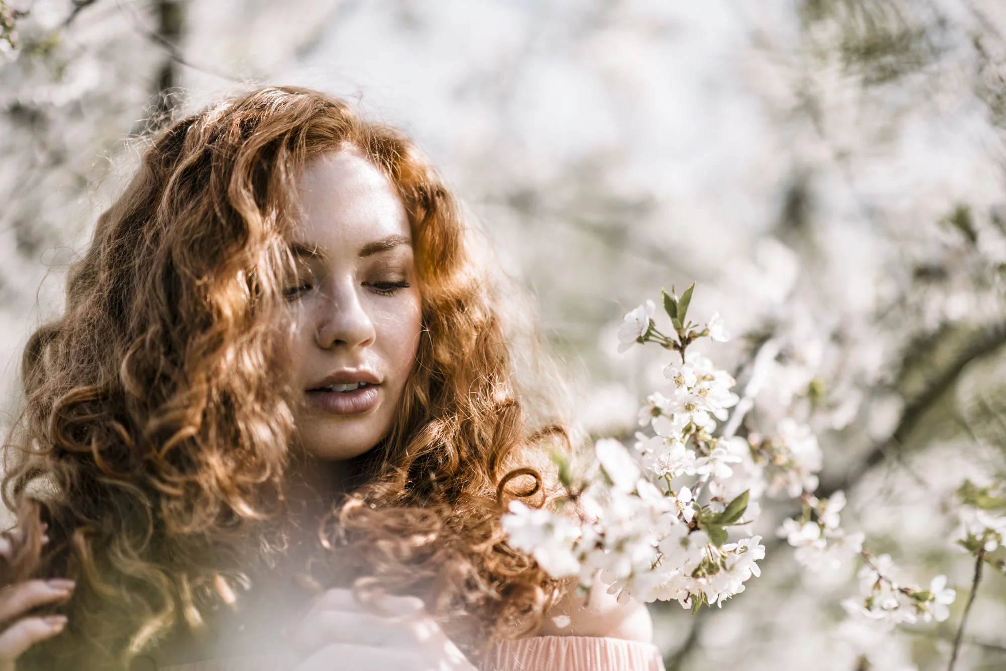 Cherry-5.jpg