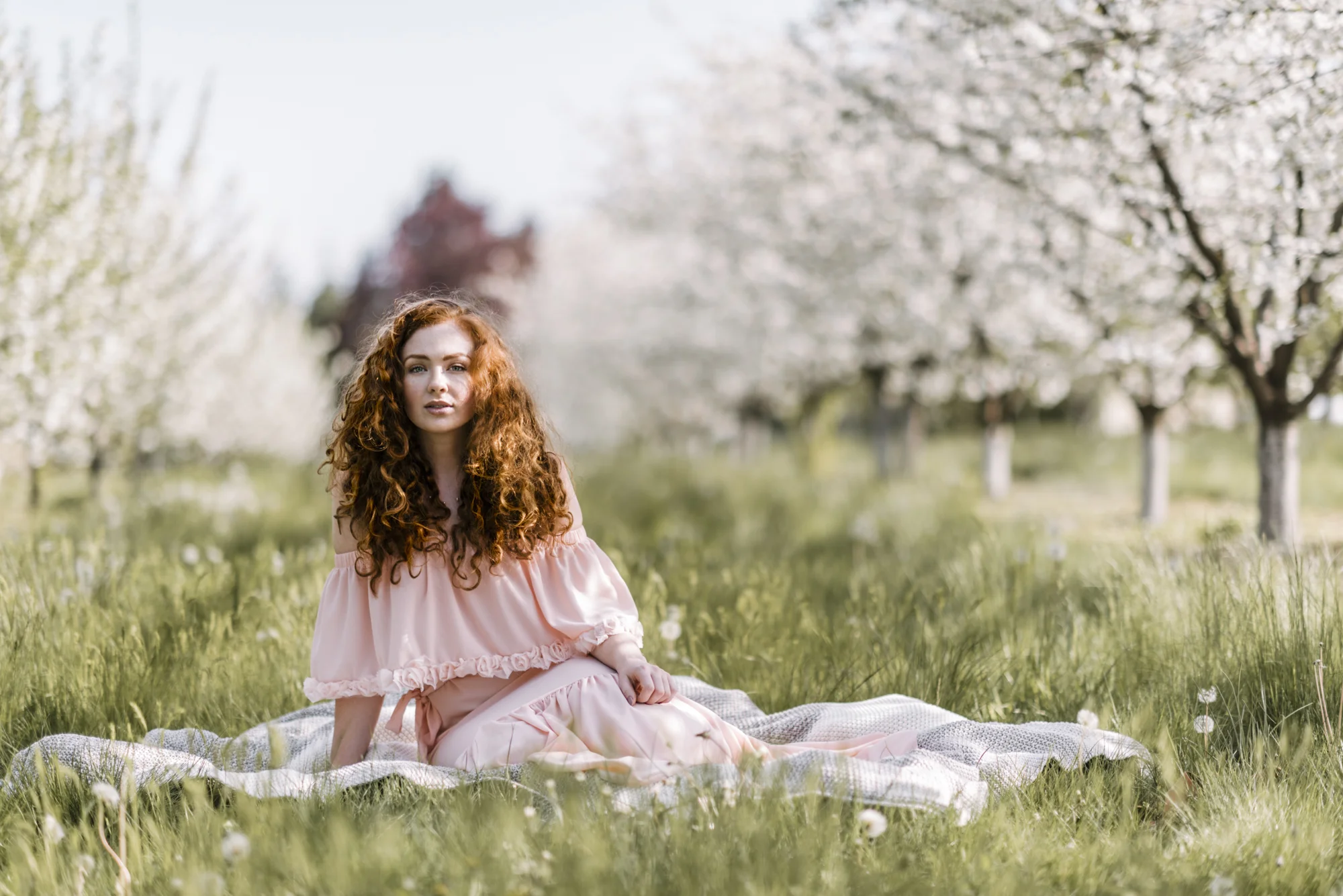 Cherry-6.jpg