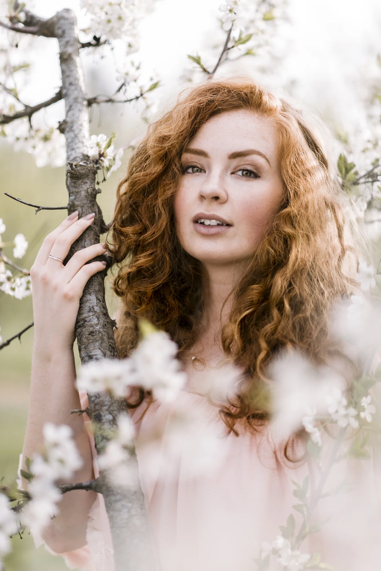 Cherry-18.jpg