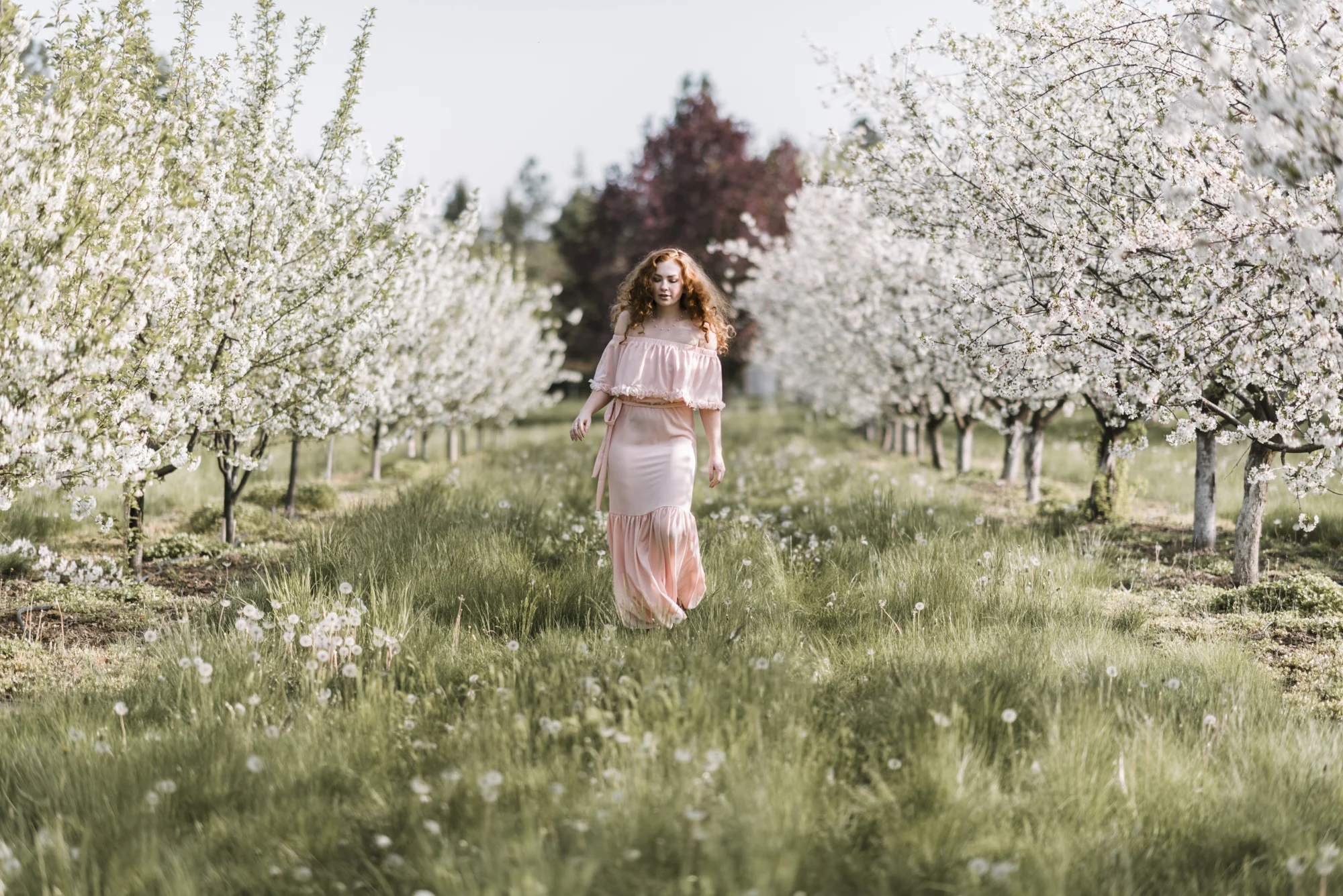 Cherry-9.jpg