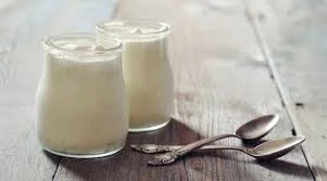 yogurt-healthy-fat.jpeg