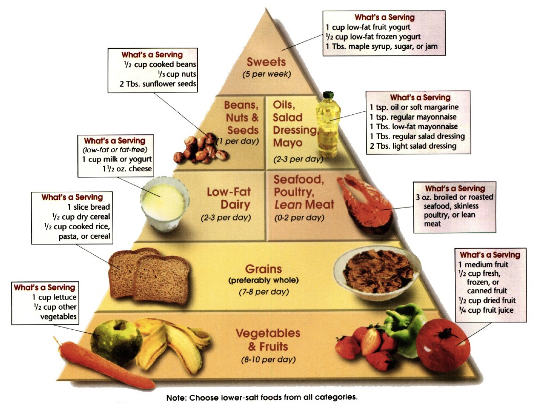 Diet Chart For Senior Citizen