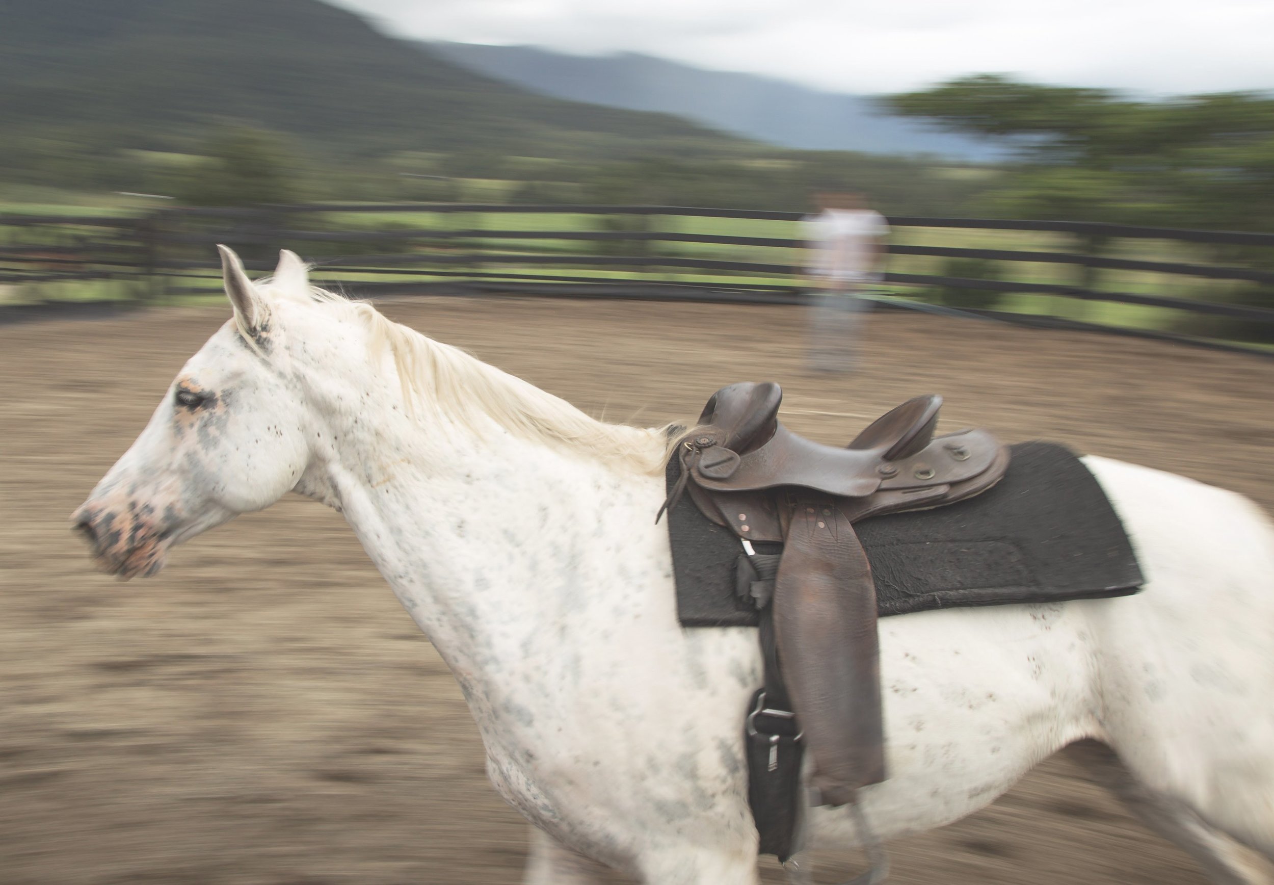 20180310_ABAdur_The Ranch Byron Bay New Edit_045.jpg