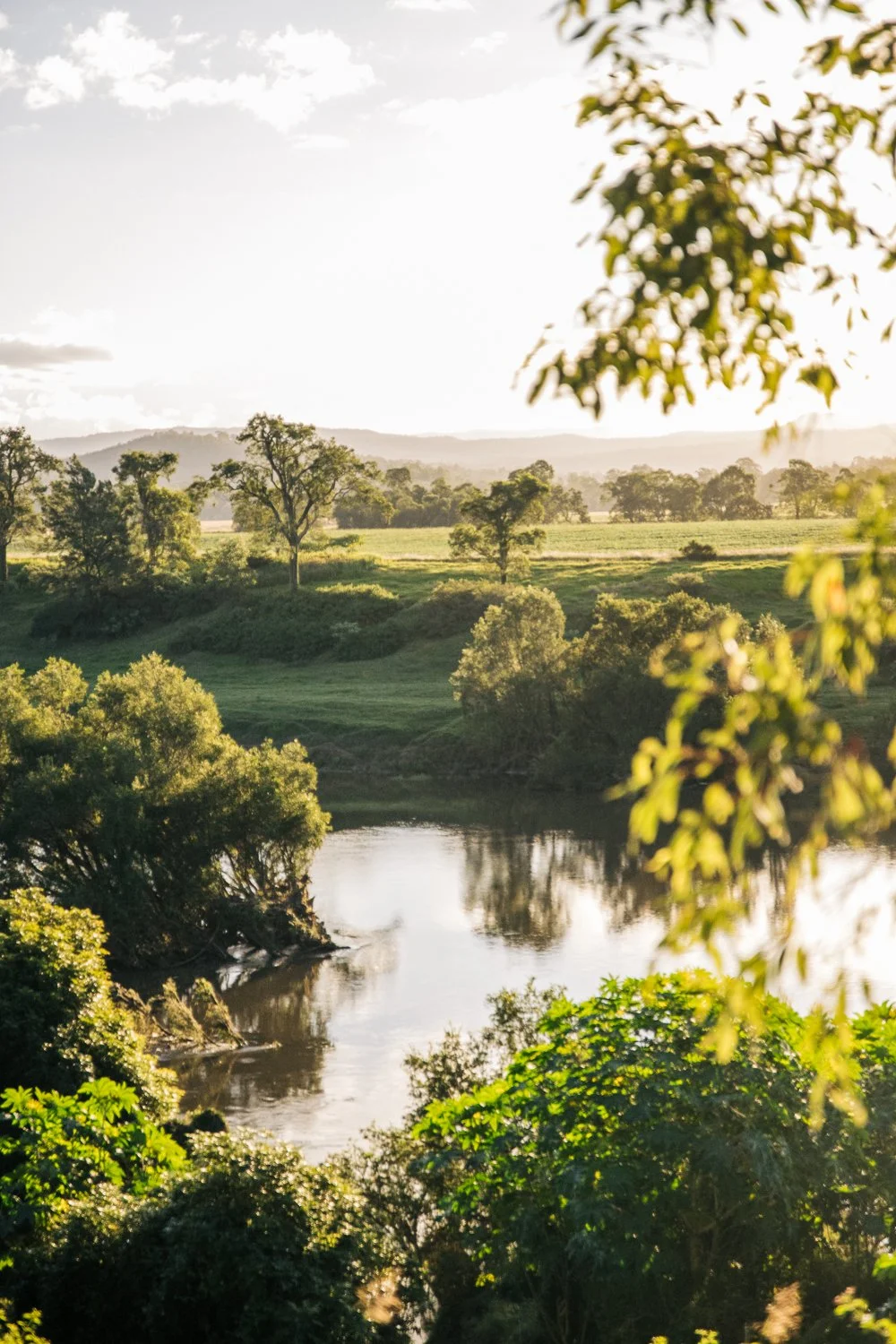 Hinterland Cluster-78.jpg