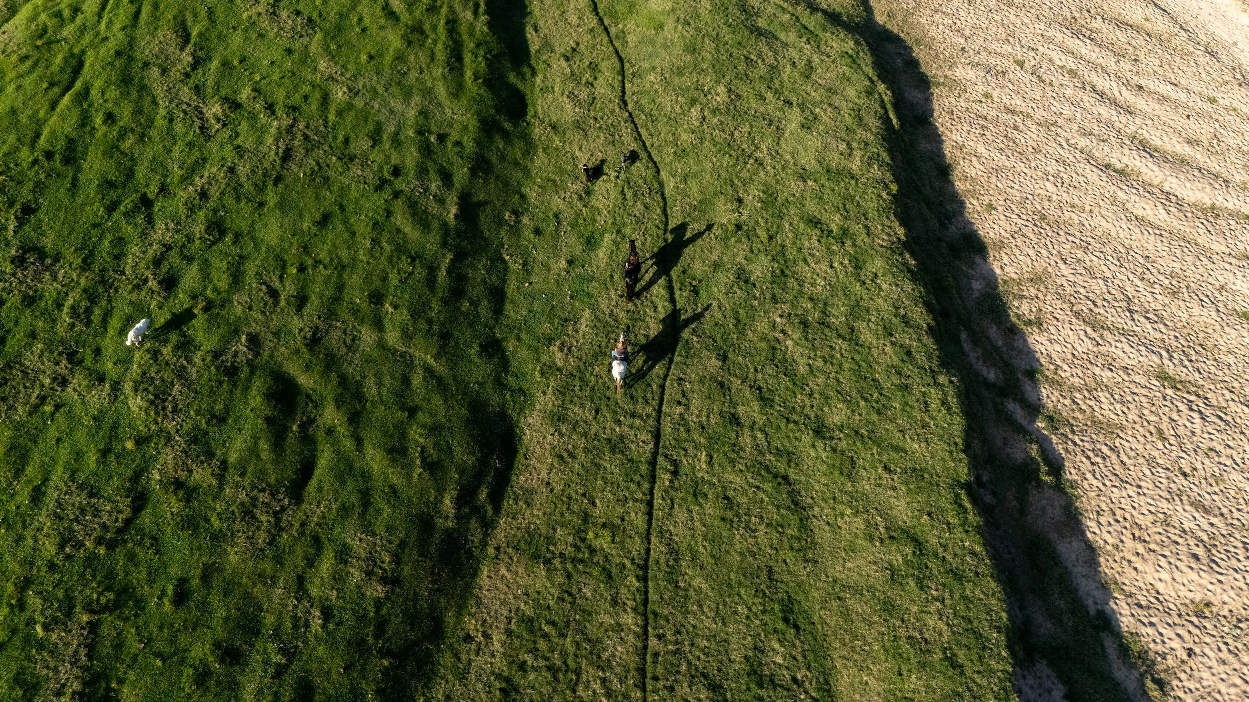 3-Day Trek 23–25 Jan '26