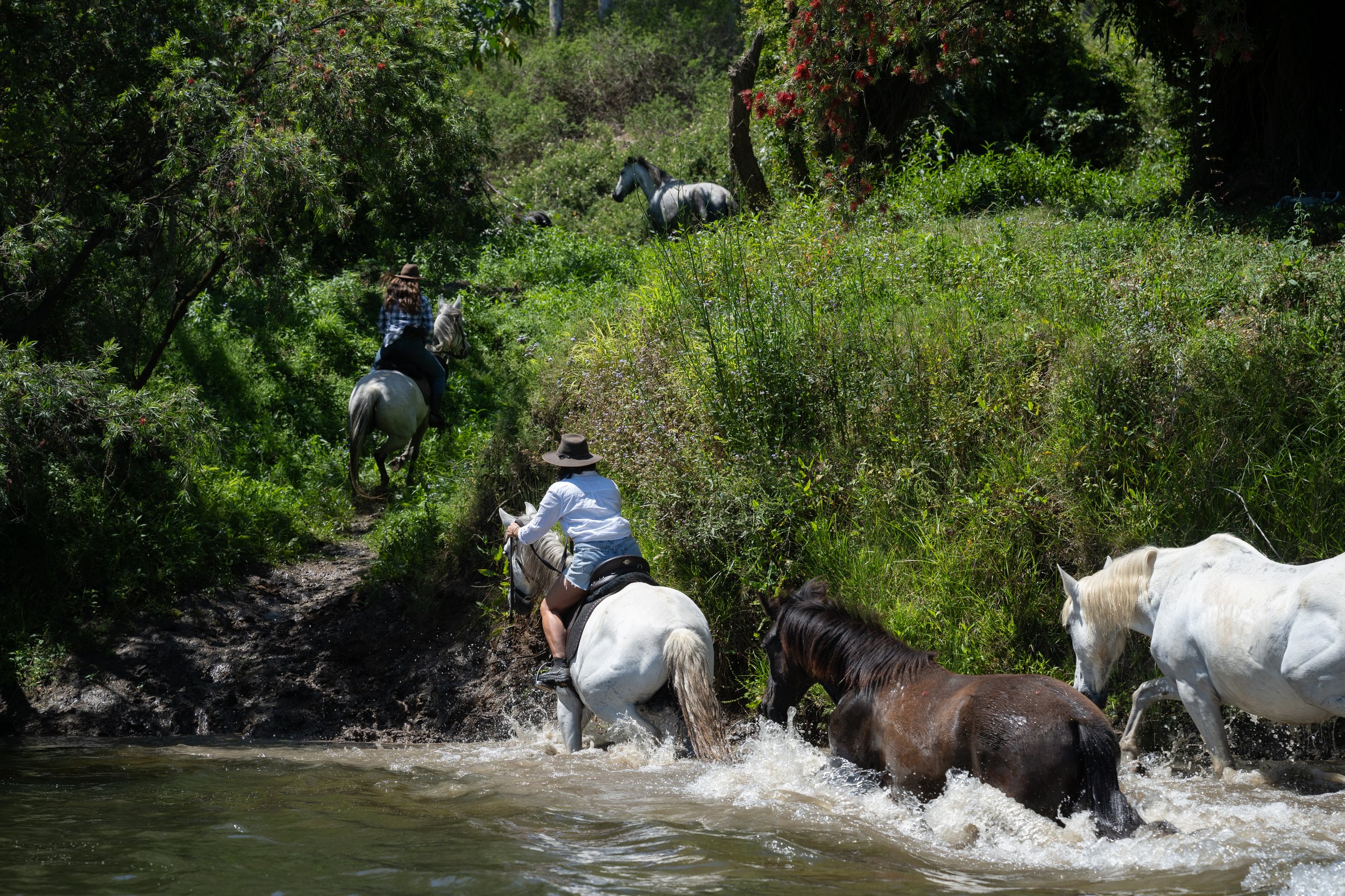 TheRanchxRollingStills-352.jpg (Copy) (Copy)
