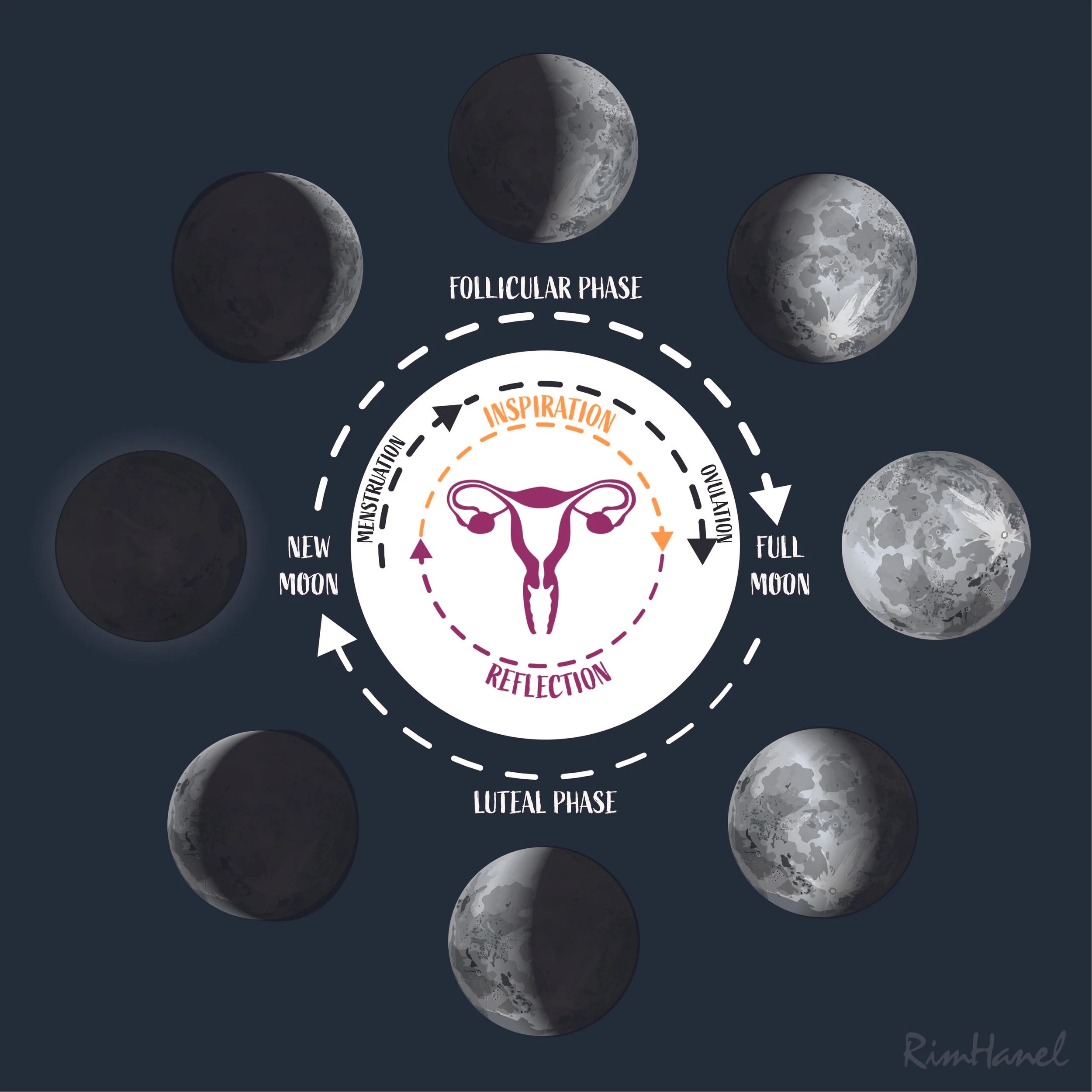 The Wisdom that lies within Cycle Tracking